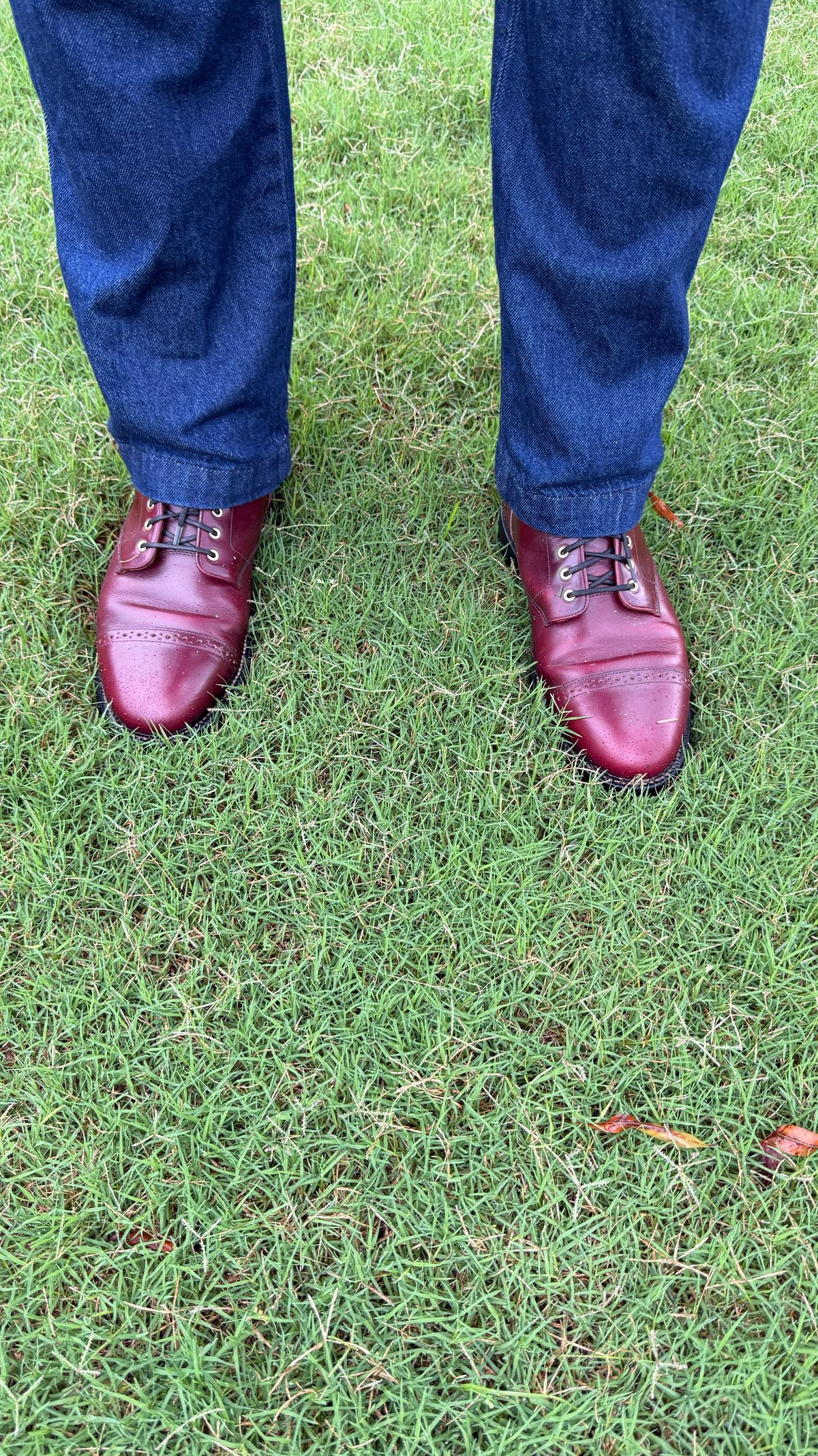 Photo by BigBadWolf on June 10, 2025 of the Grant Stone Garrison Boot in Horween Color 8 Chromexcel.