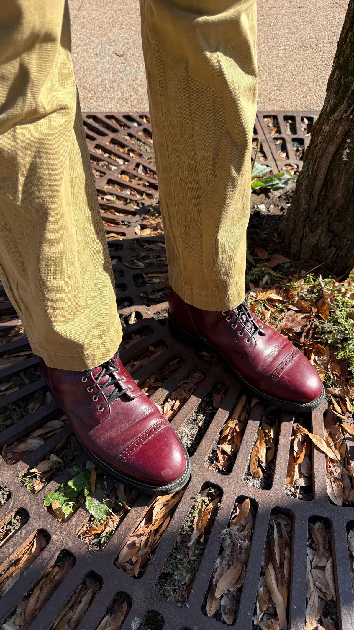 Photo by BigBadWolf on December 3, 2025 of the Grant Stone Garrison Boot in Horween Color 8 Chromexcel.