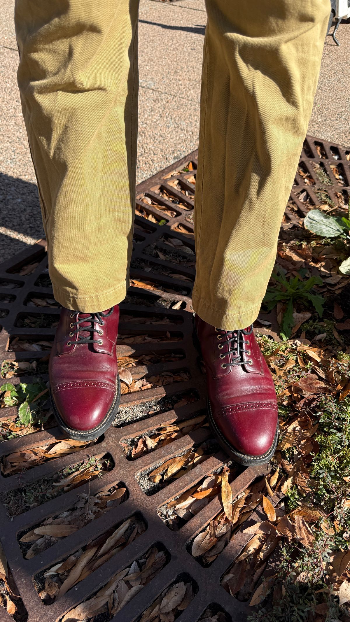 Photo by BigBadWolf on December 3, 2025 of the Grant Stone Garrison Boot in Horween Color 8 Chromexcel.