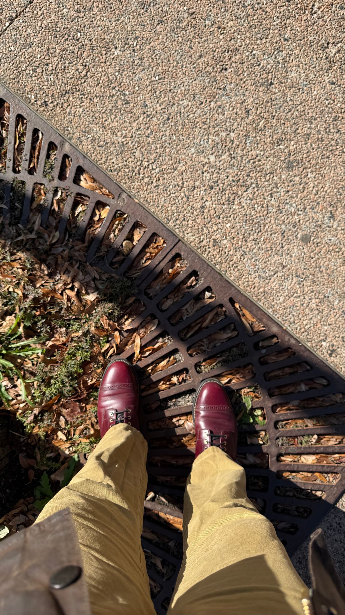 Photo by BigBadWolf on December 3, 2025 of the Grant Stone Garrison Boot in Horween Color 8 Chromexcel.