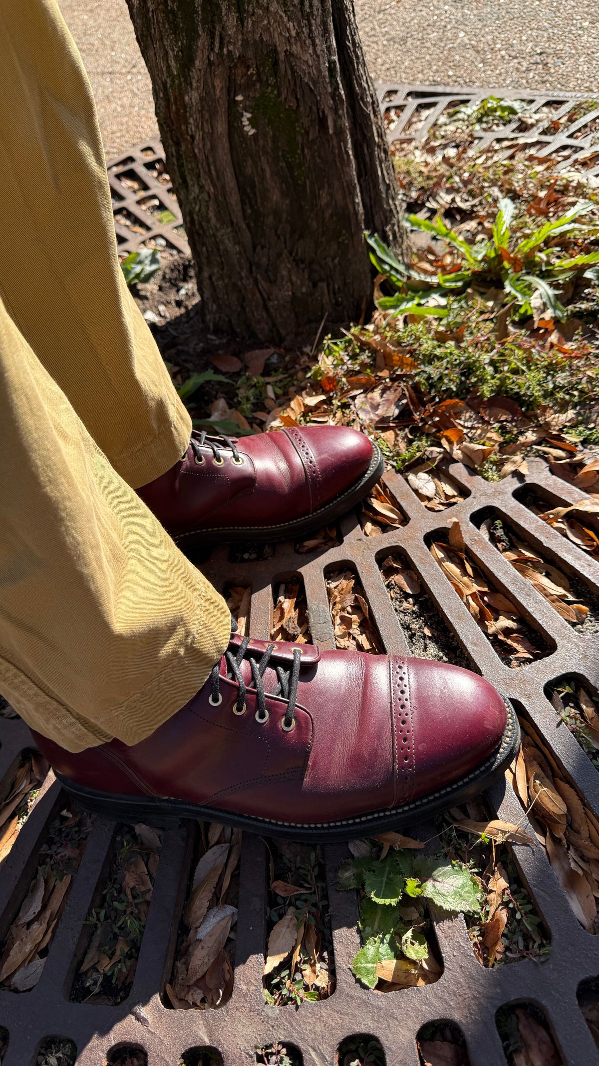 Photo by BigBadWolf on December 3, 2025 of the Grant Stone Garrison Boot in Horween Color 8 Chromexcel.