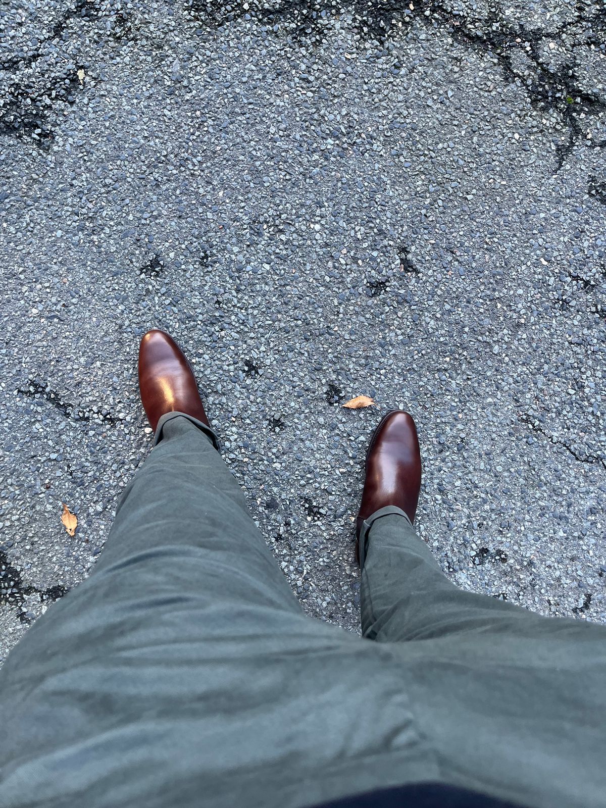 Photo by BigBadWolf on October 6, 2022 of the Meermin Wholecut Chelsea Boot in D’Annonay Dark Brown BoxCalf.