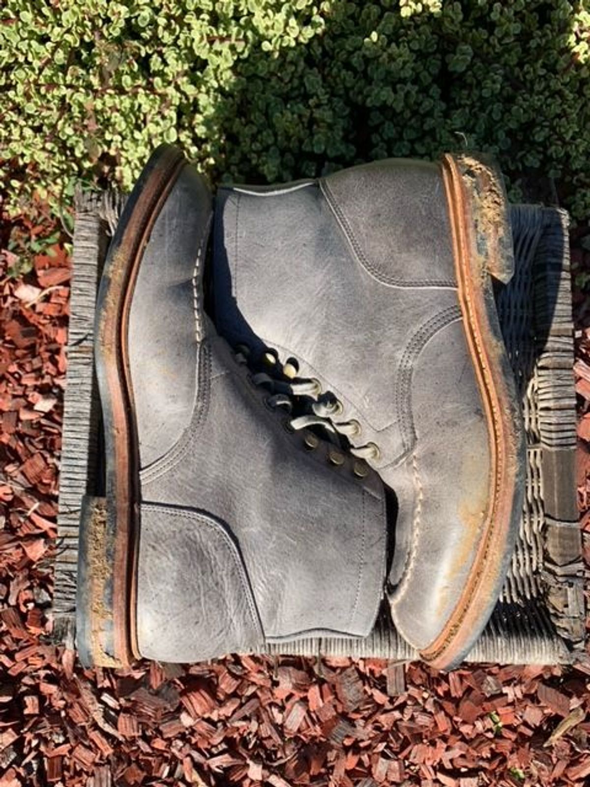 Photo by patinathunderdome on January 6, 2022 of the Grant Stone Ottawa Boot in C.F. Stead Storm Kudu.
