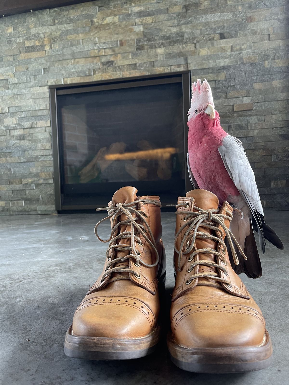 Photo by patinathunderdome on May 1, 2022 of the Wesco Hendrik in Horween Natural Essex.