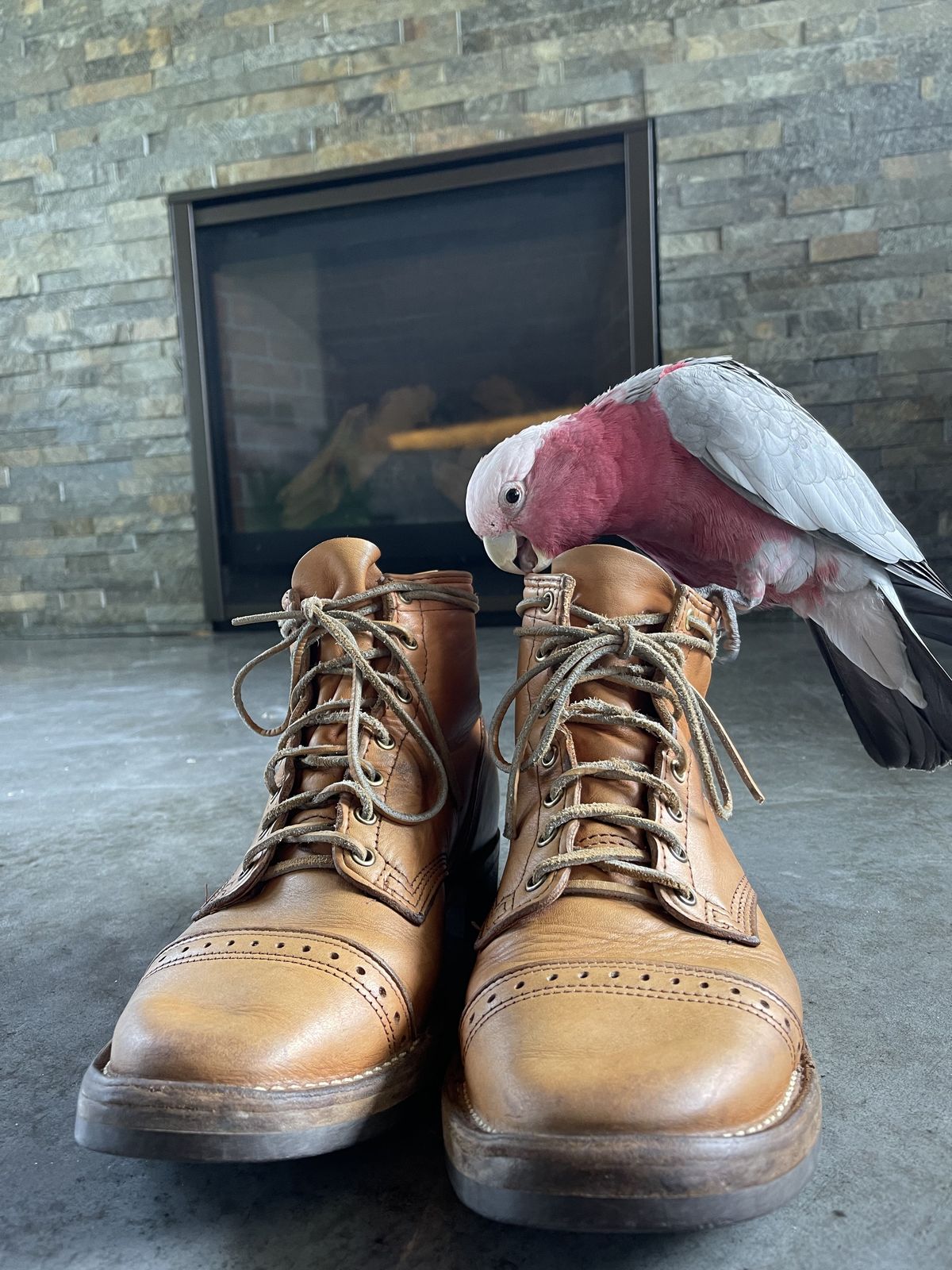 Photo by patinathunderdome on May 1, 2022 of the Wesco Hendrik in Horween Natural Essex.