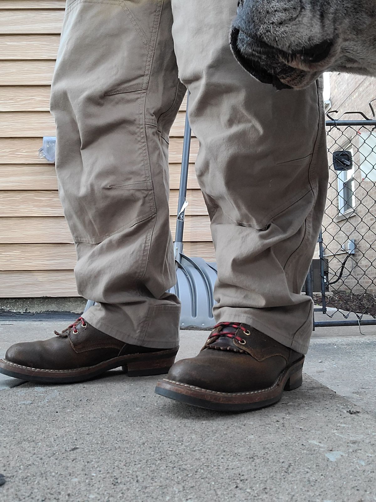Photo by patinathunderdome on December 2, 2021 of the White's Bounty Hunter in Horween Cinnamon Waxed Flesh.