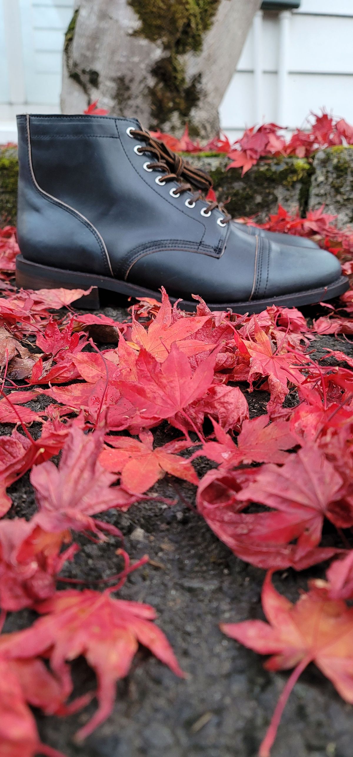 Photo by patinathunderdome on November 4, 2021 of the Thursday Vanguard in Horween Indigo Chromexcel.