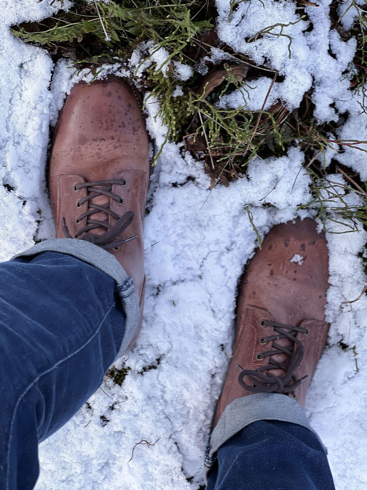 Photo by patinathunderdome on March 3, 2022 of the Midas Service Boot in Indonesian Dark Brown Pull Up.