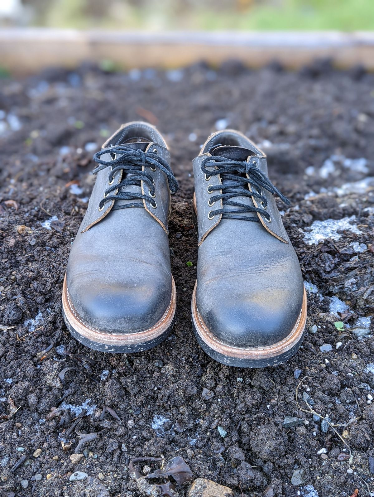 Photo by patinathunderdome on November 3, 2021 of the Oak Street Bootmakers Trench Oxford in Seidel Carbon Bark Veg Retan.