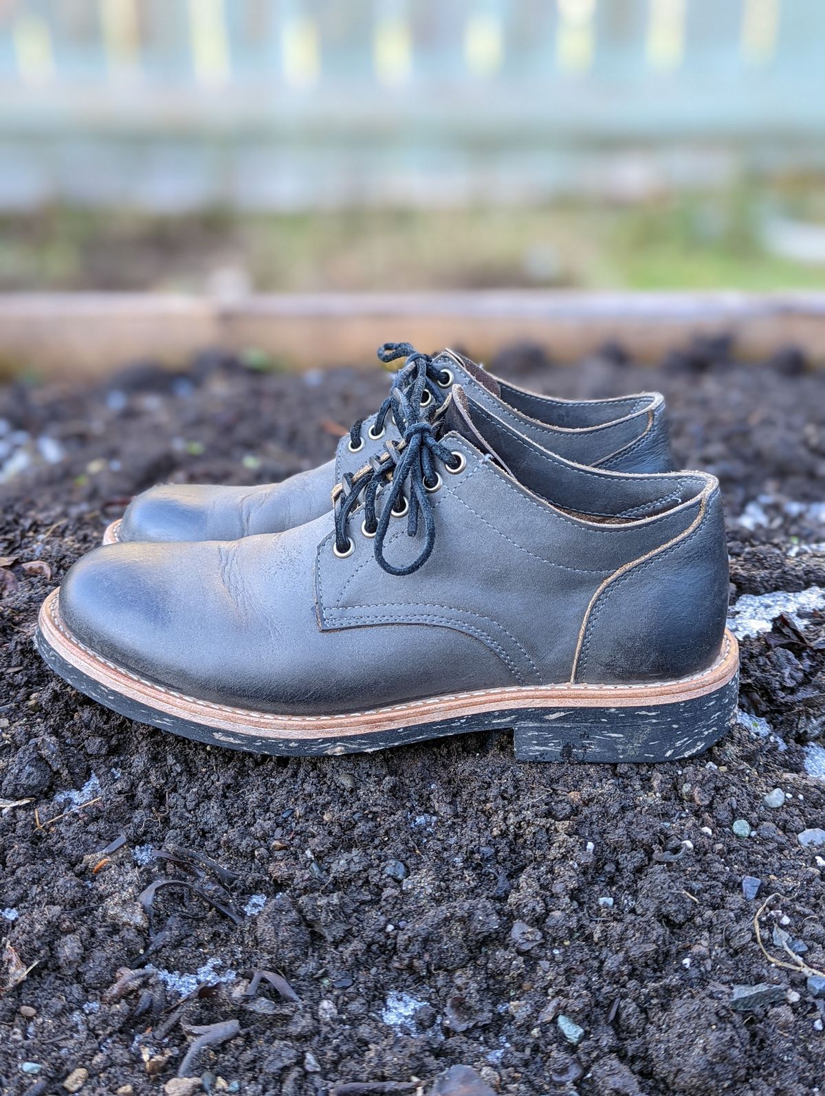 Photo by patinathunderdome on November 3, 2021 of the Oak Street Bootmakers Trench Oxford in Seidel Carbon Bark Veg Retan.