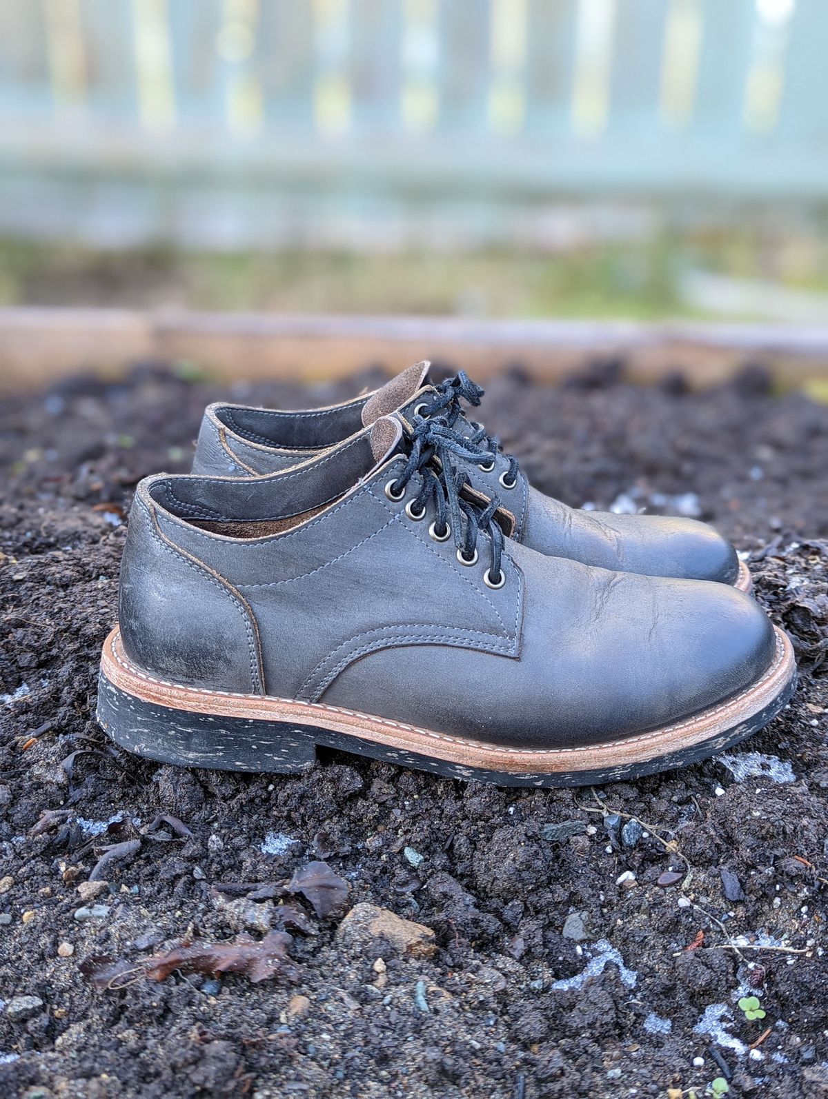 Photo by patinathunderdome on November 3, 2021 of the Oak Street Bootmakers Trench Oxford in Seidel Carbon Bark Veg Retan.