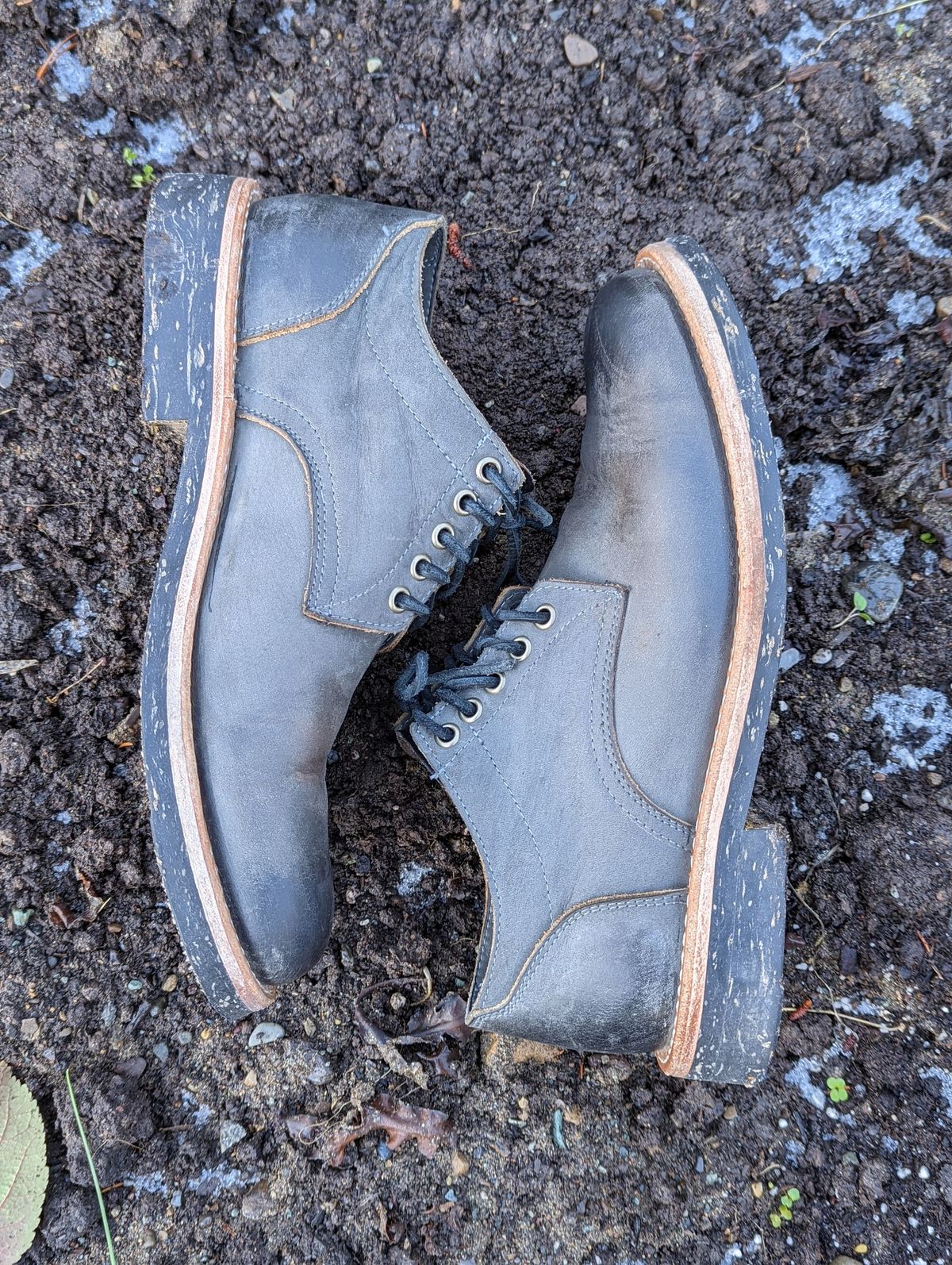 Photo by patinathunderdome on November 3, 2021 of the Oak Street Bootmakers Trench Oxford in Seidel Carbon Bark Veg Retan.