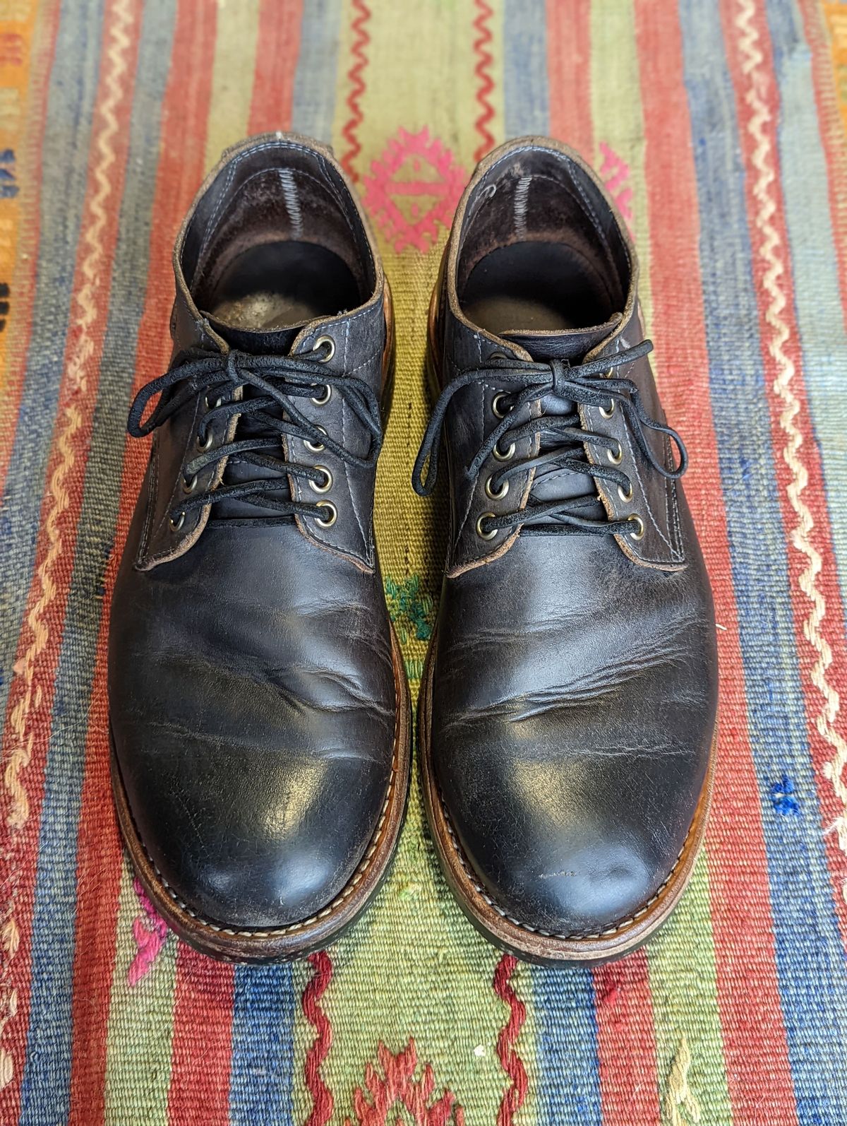 Photo by patinathunderdome on May 2, 2022 of the Oak Street Bootmakers Trench Oxford in Seidel Carbon Bark Veg Retan.