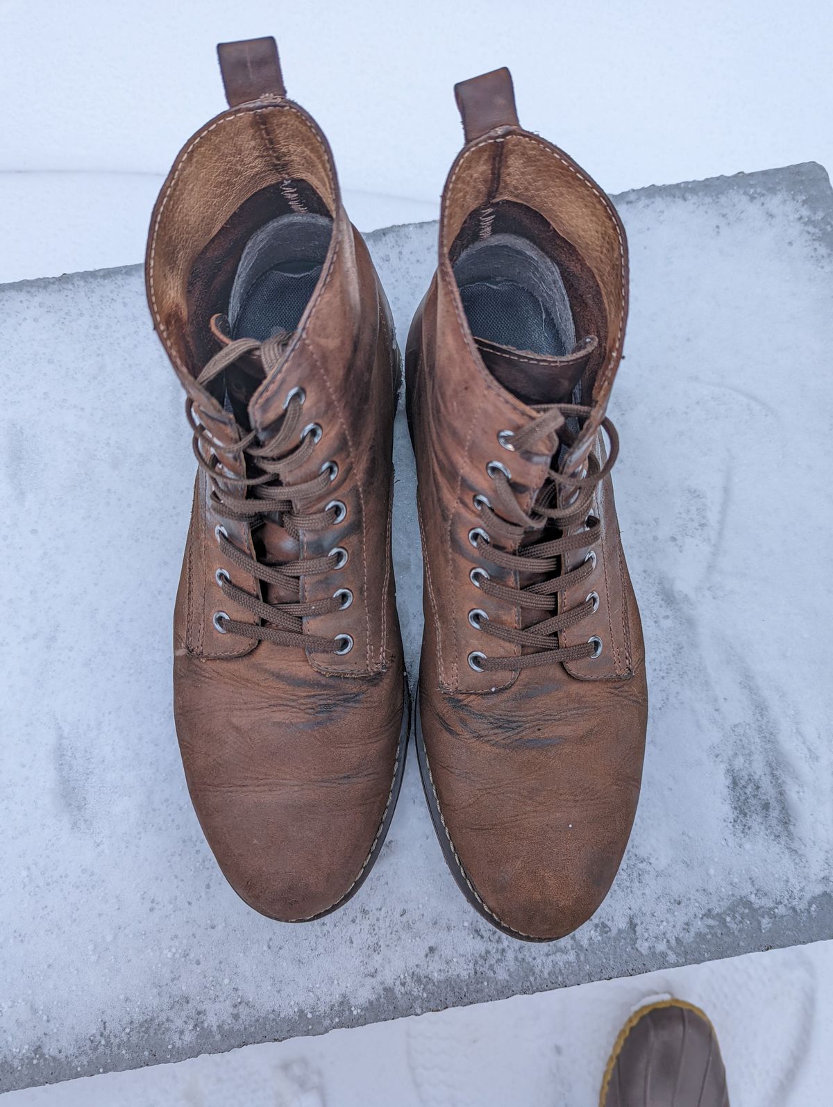 Photo by patinathunderdome on February 5, 2022 of the Golden Fox 6" Boondocker Boots in Fudge Crazy Horse.