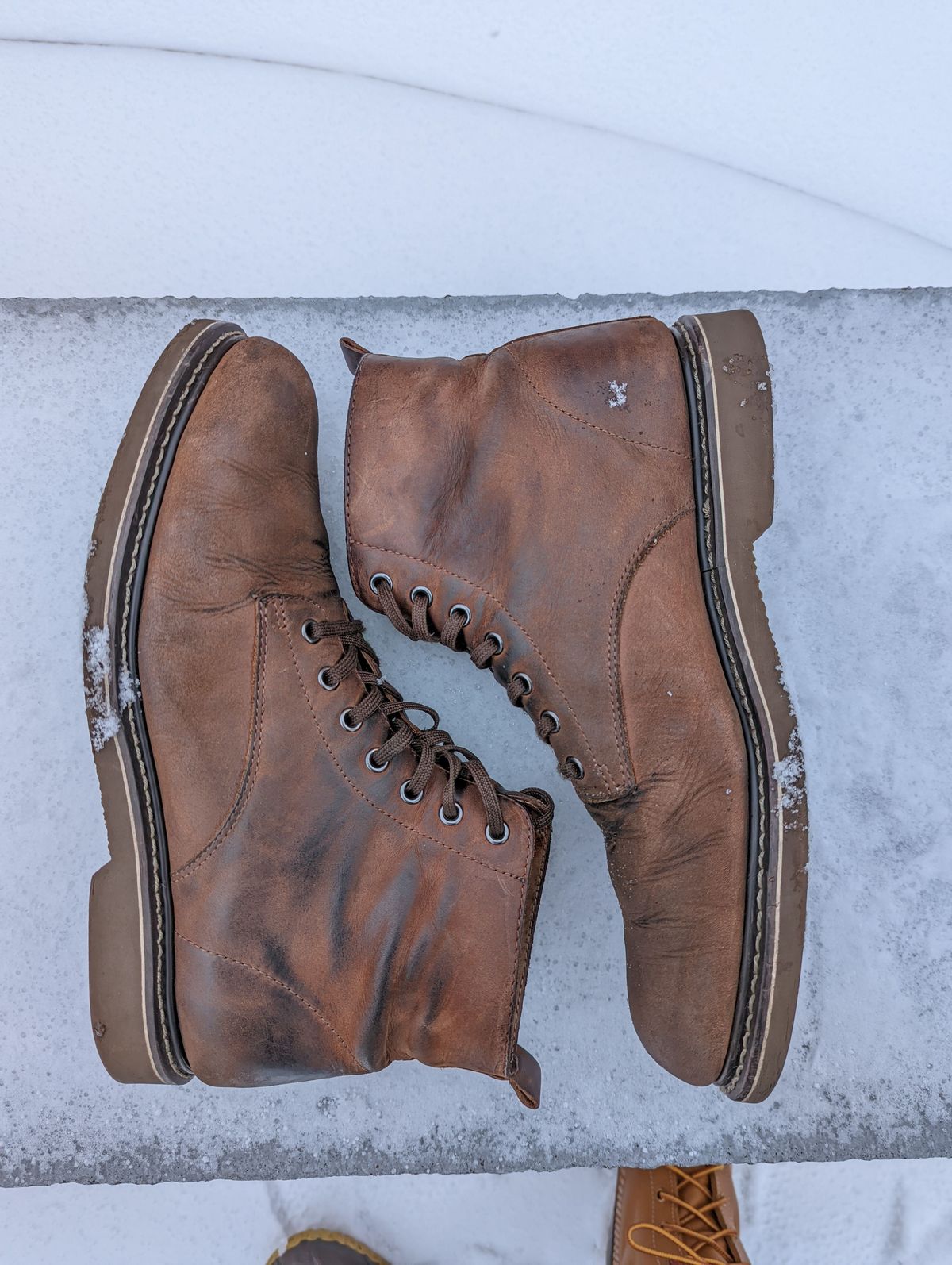 Photo by patinathunderdome on February 5, 2022 of the Golden Fox 6" Boondocker Boots in Fudge Crazy Horse.