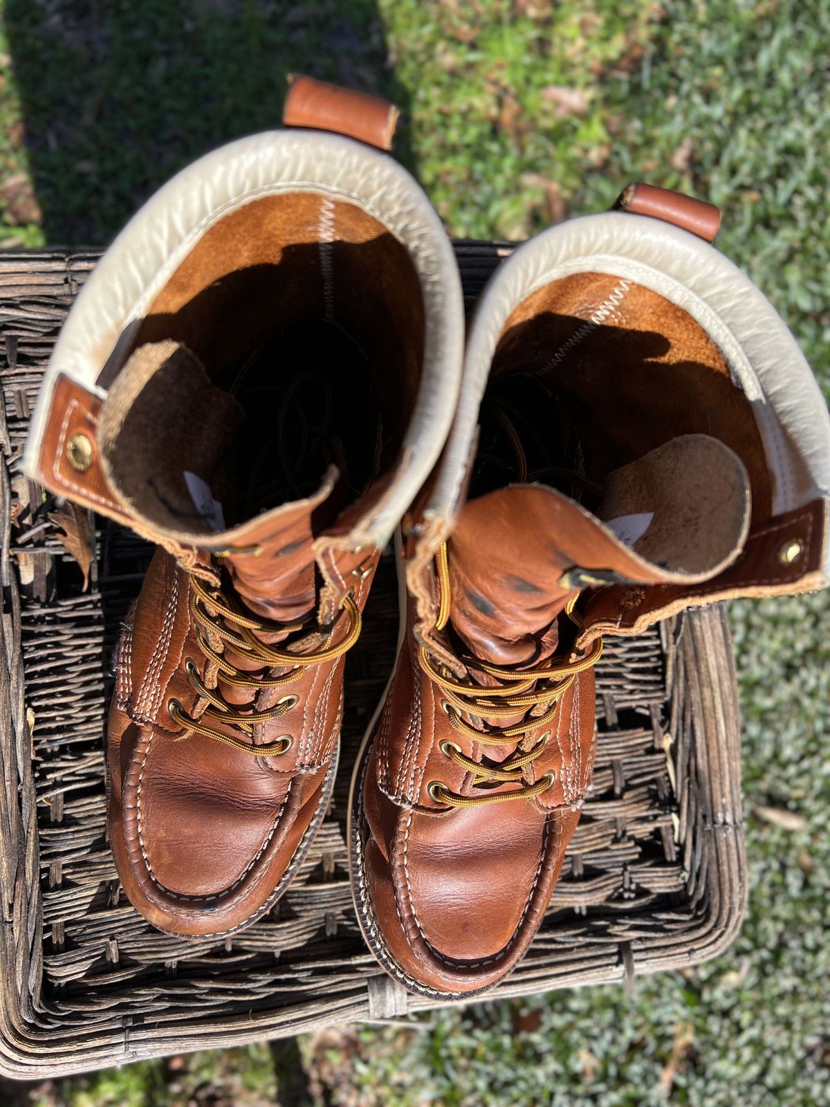 Photo by patinathunderdome on January 3, 2022 of the Thorogood 8" Moc Toe in Tobacco Gladiator Oil-Tanned.