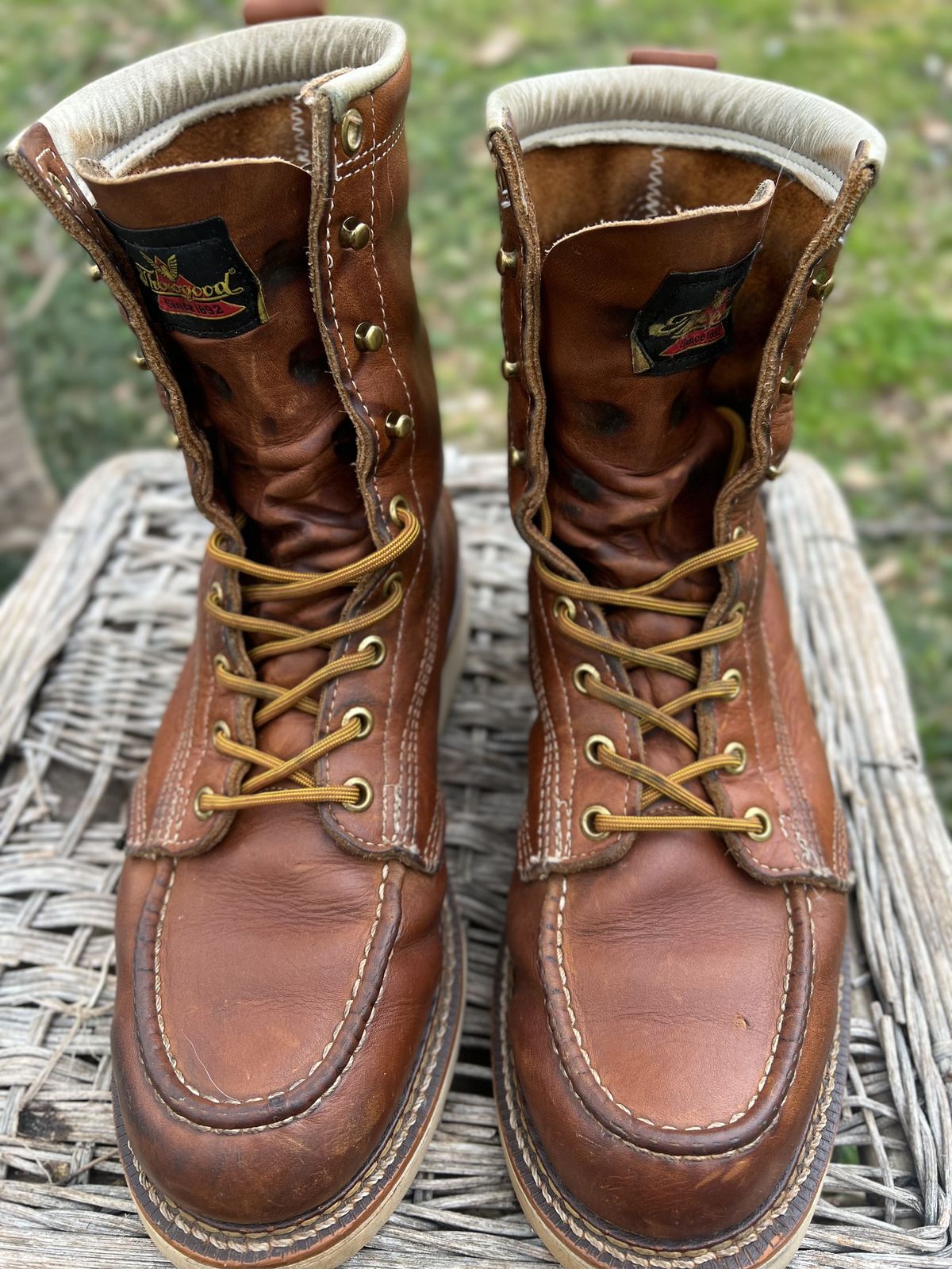 Photo by patinathunderdome on April 2, 2022 of the Thorogood 8" Moc Toe in Tobacco Gladiator Oil-Tanned.