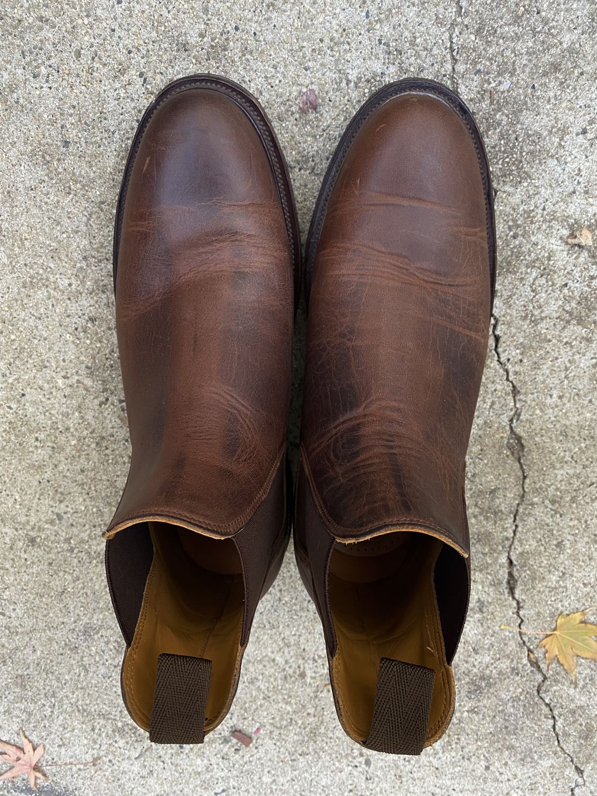 Photo by patinathunderdome on December 6, 2021 of the Viberg Chelsea in Horween Rowdy Dachshund.