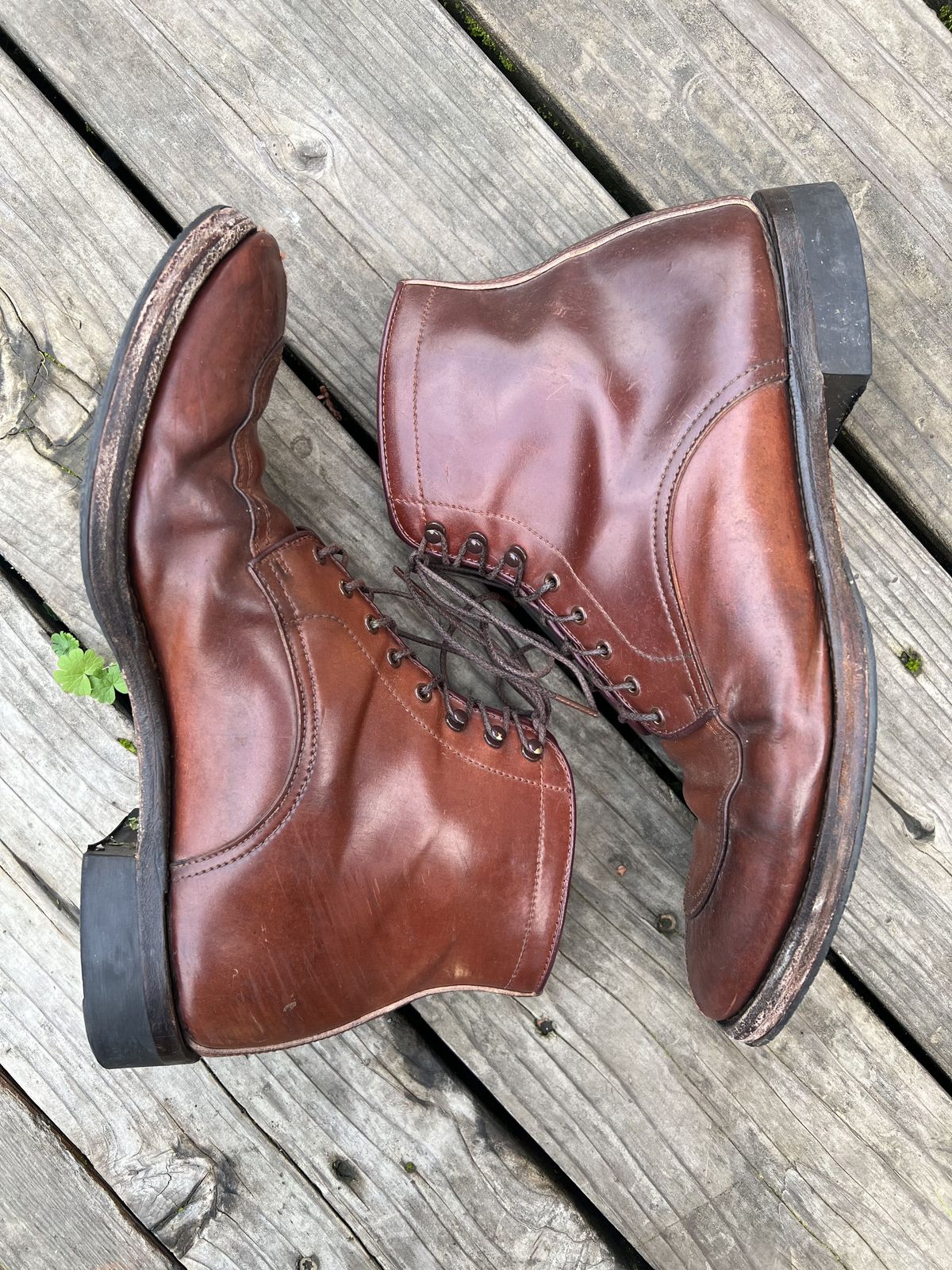 Photo by patinathunderdome on January 6, 2022 of the Makers U Mocca Blucher in Horween Color 4 Shell Cordovan.