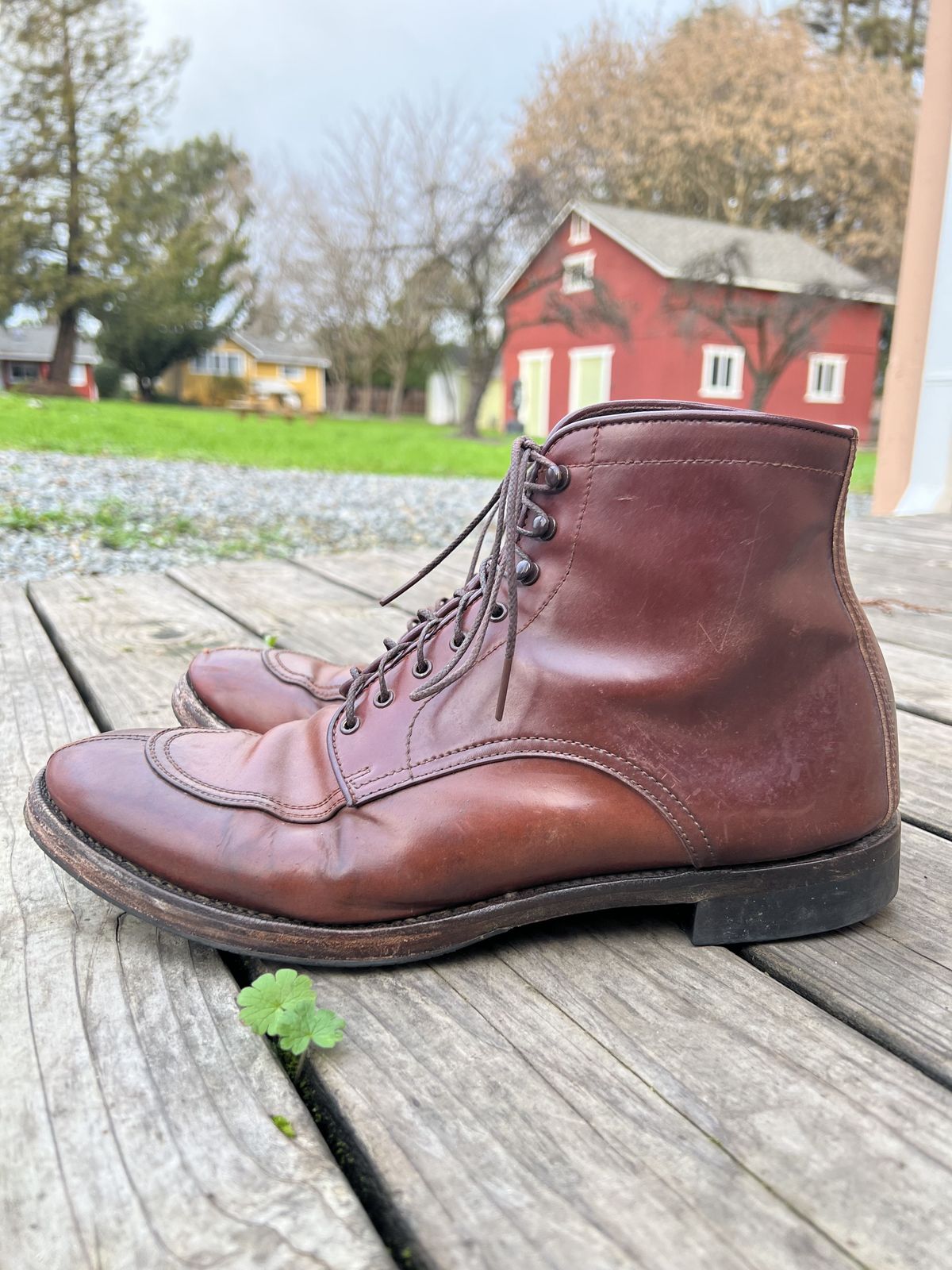 Photo by patinathunderdome on January 6, 2022 of the Makers U Mocca Blucher in Horween Color 4 Shell Cordovan.