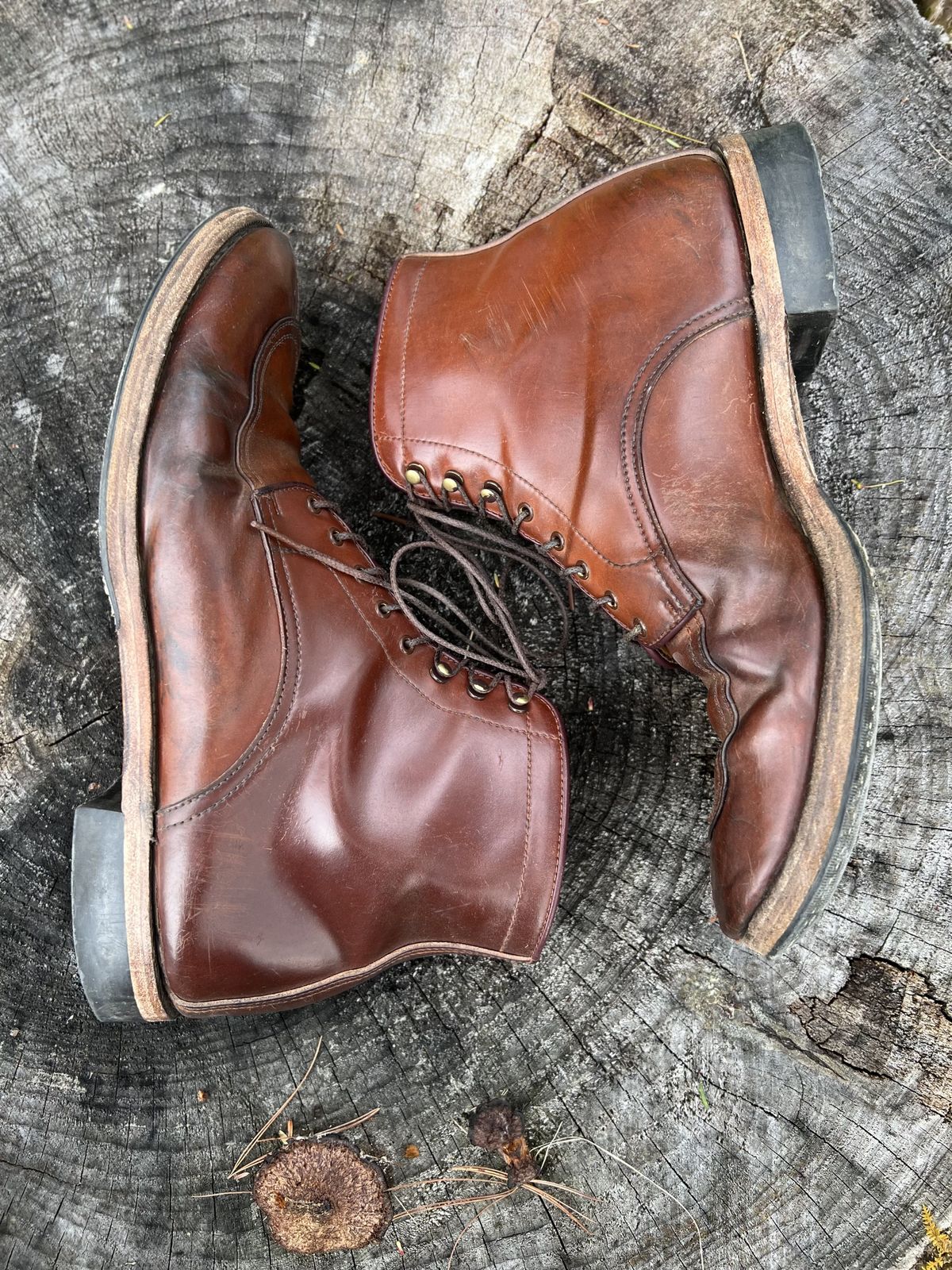 Photo by patinathunderdome on May 6, 2022 of the Makers U Mocca Blucher in Horween Color 4 Shell Cordovan.