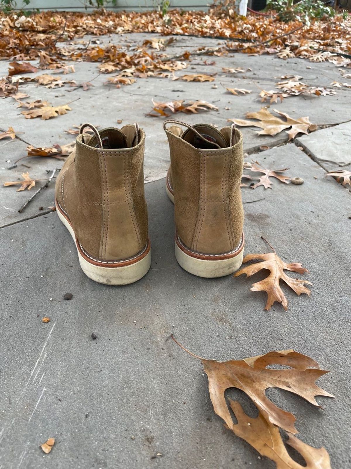 Photo by patinathunderdome on December 5, 2021 of the Red Wing Work Chukka in S.B. Foot Olive Mohave Roughout.