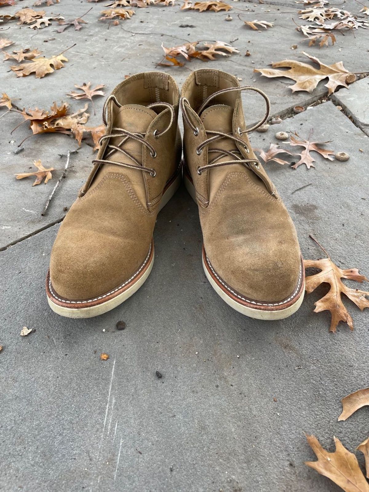 Photo by patinathunderdome on December 5, 2021 of the Red Wing Work Chukka in S.B. Foot Olive Mohave Roughout.