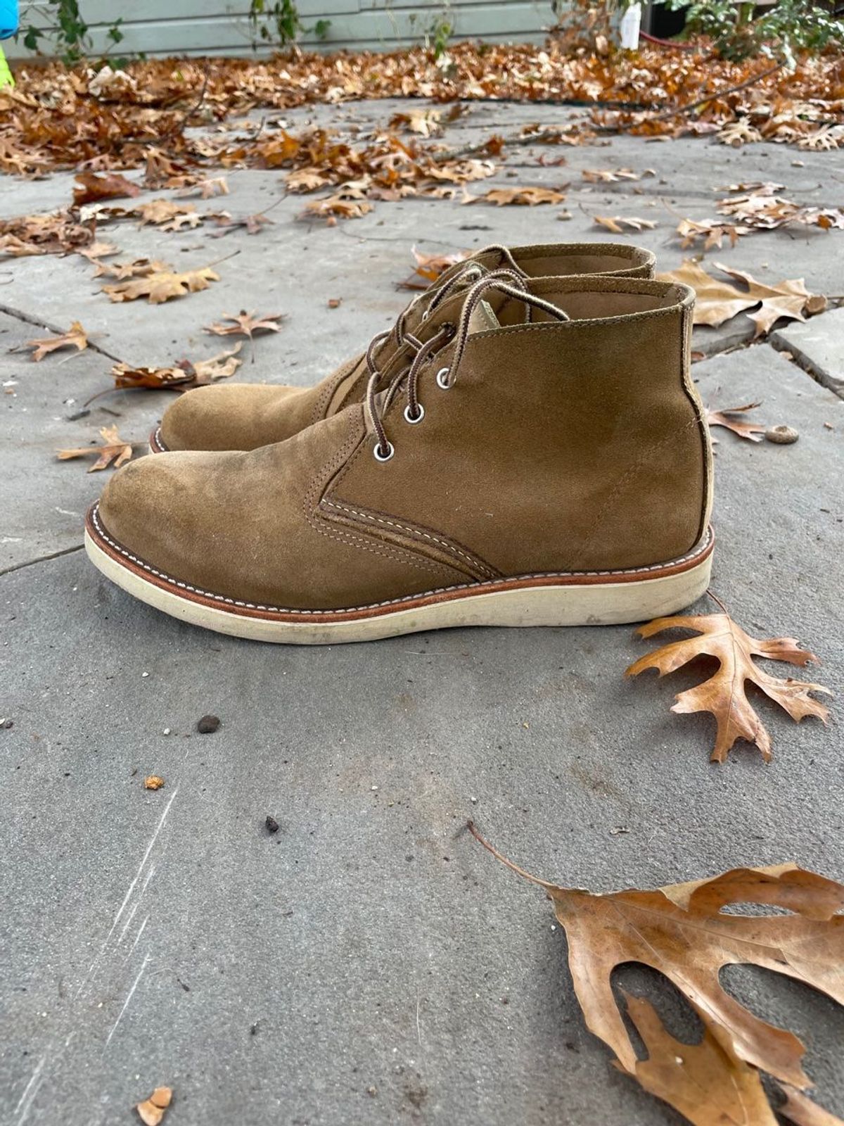 Photo by patinathunderdome on December 5, 2021 of the Red Wing Work Chukka in S.B. Foot Olive Mohave Roughout.