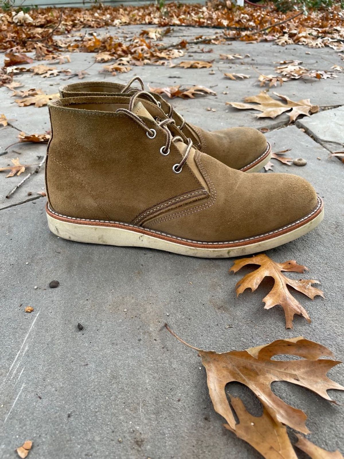 Photo by patinathunderdome on December 5, 2021 of the Red Wing Work Chukka in S.B. Foot Olive Mohave Roughout.