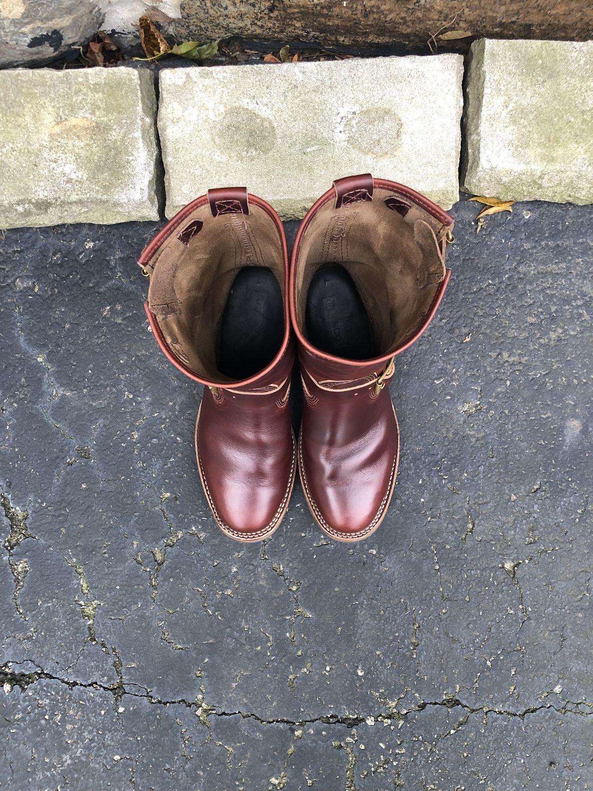 Photo by patinathunderdome on November 2, 2021 of the Wesco Mister Lou in Horween Umber Chromexcel.