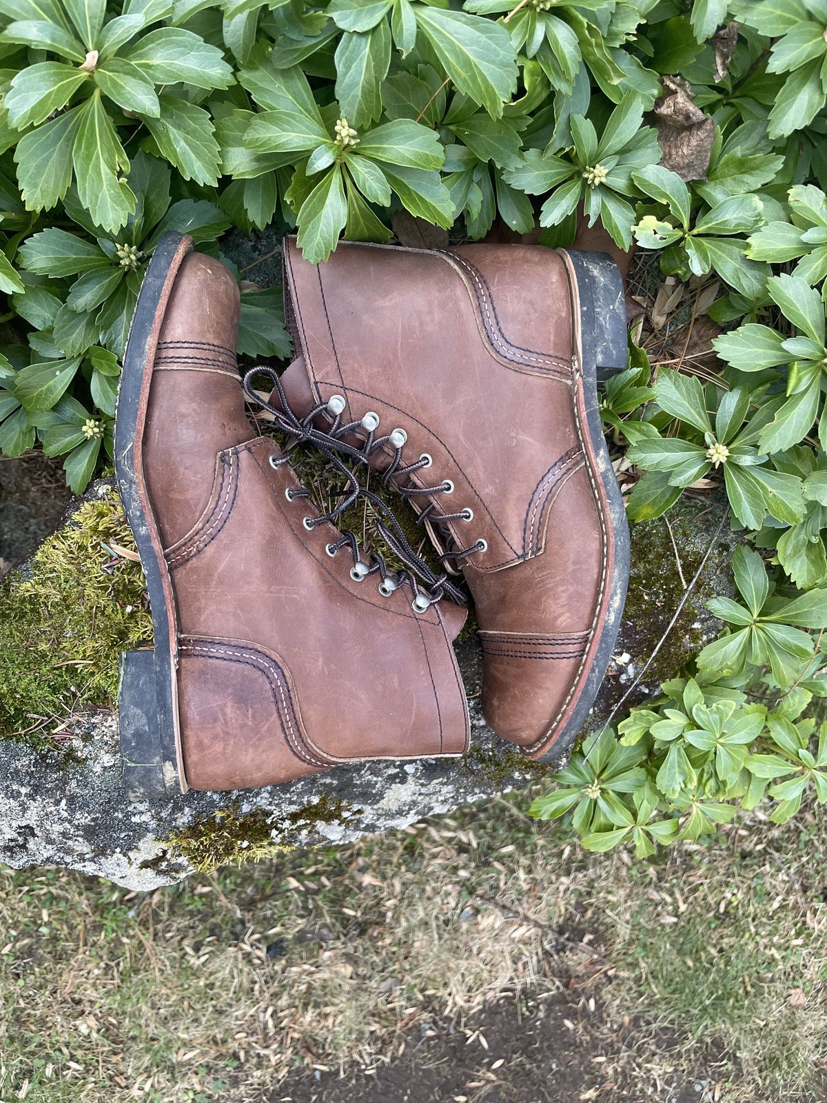 Photo by patinathunderdome on December 5, 2021 of the Red Wing Iron Ranger in S.B. Foot Amber Harness.