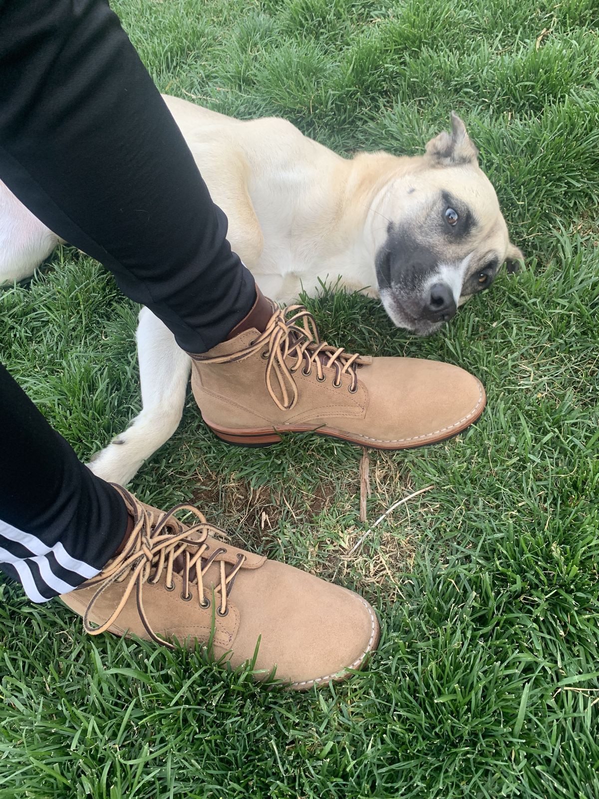 Photo by patinathunderdome on October 1, 2021 of the Oak Street Bootmakers Storm Boot in Horween Natural Chromexcel Roughout.