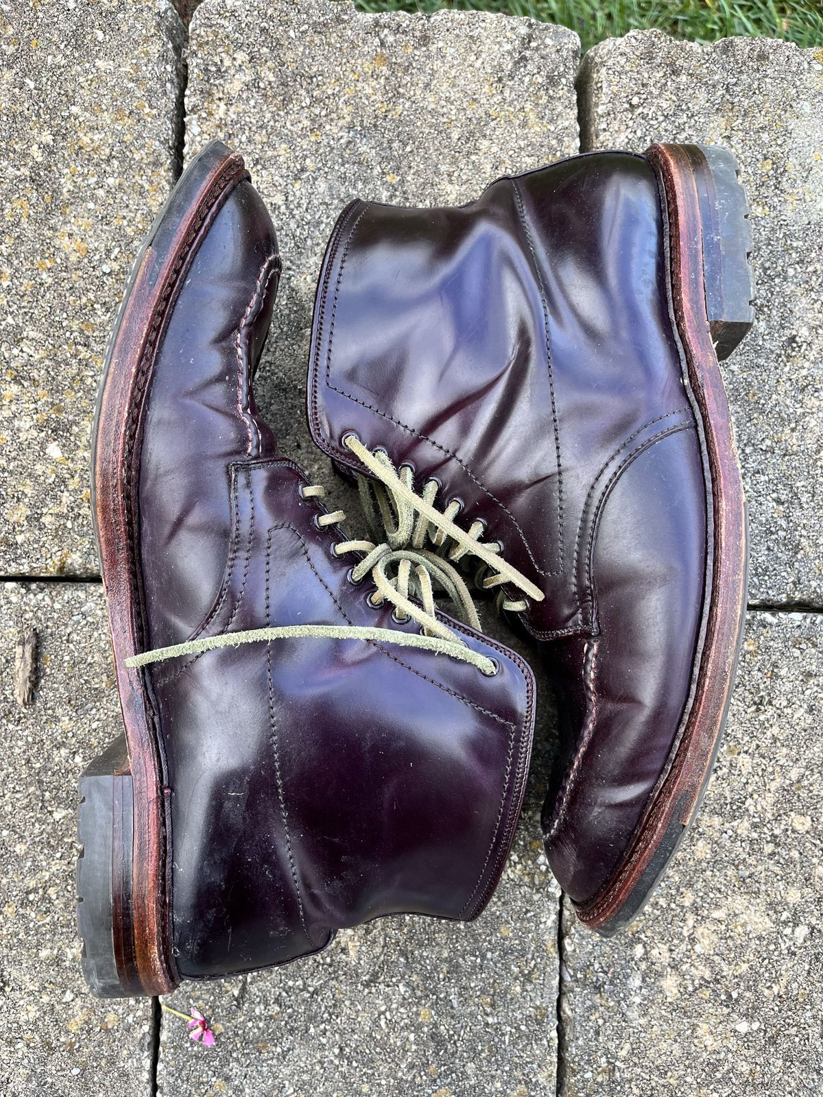 Photo by patinathunderdome on November 4, 2021 of the Alden Indy Boot in Horween Color 8 Shell Cordovan.
