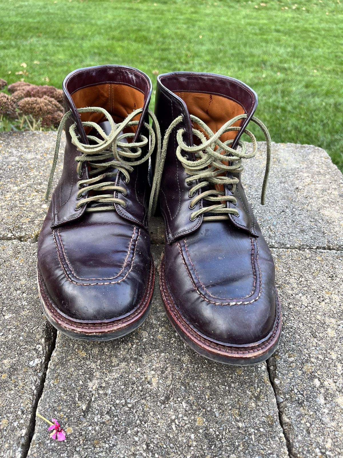 Photo by patinathunderdome on November 4, 2021 of the Alden Indy Boot in Horween Color 8 Shell Cordovan.