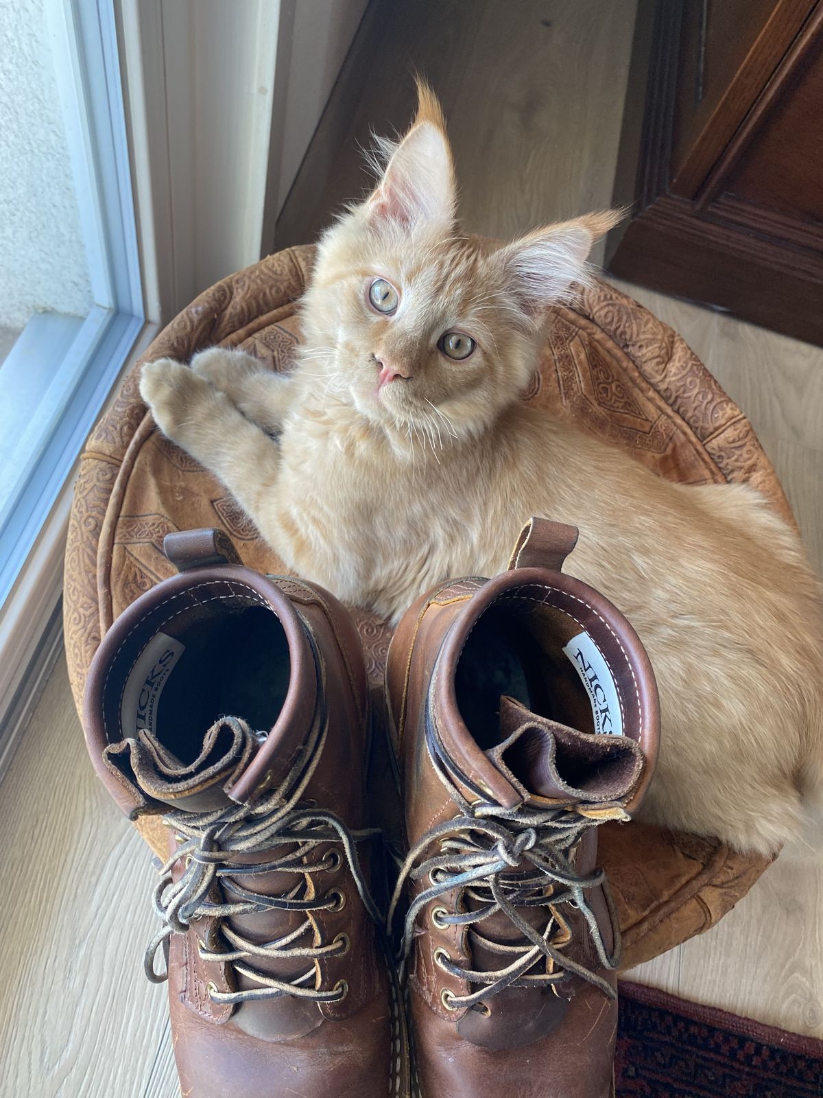 Photo by patinathunderdome on March 2, 2022 of the Nicks Robert in Horween Orange Predator.