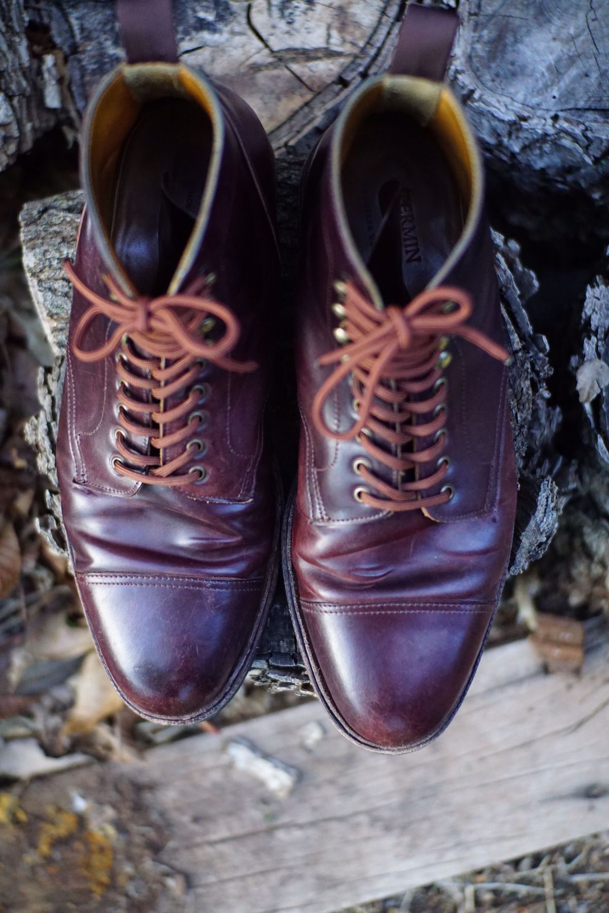 Photo by patinathunderdome on May 5, 2022 of the Meermin Derby Boot in Horween Color 8 Shell Cordovan.