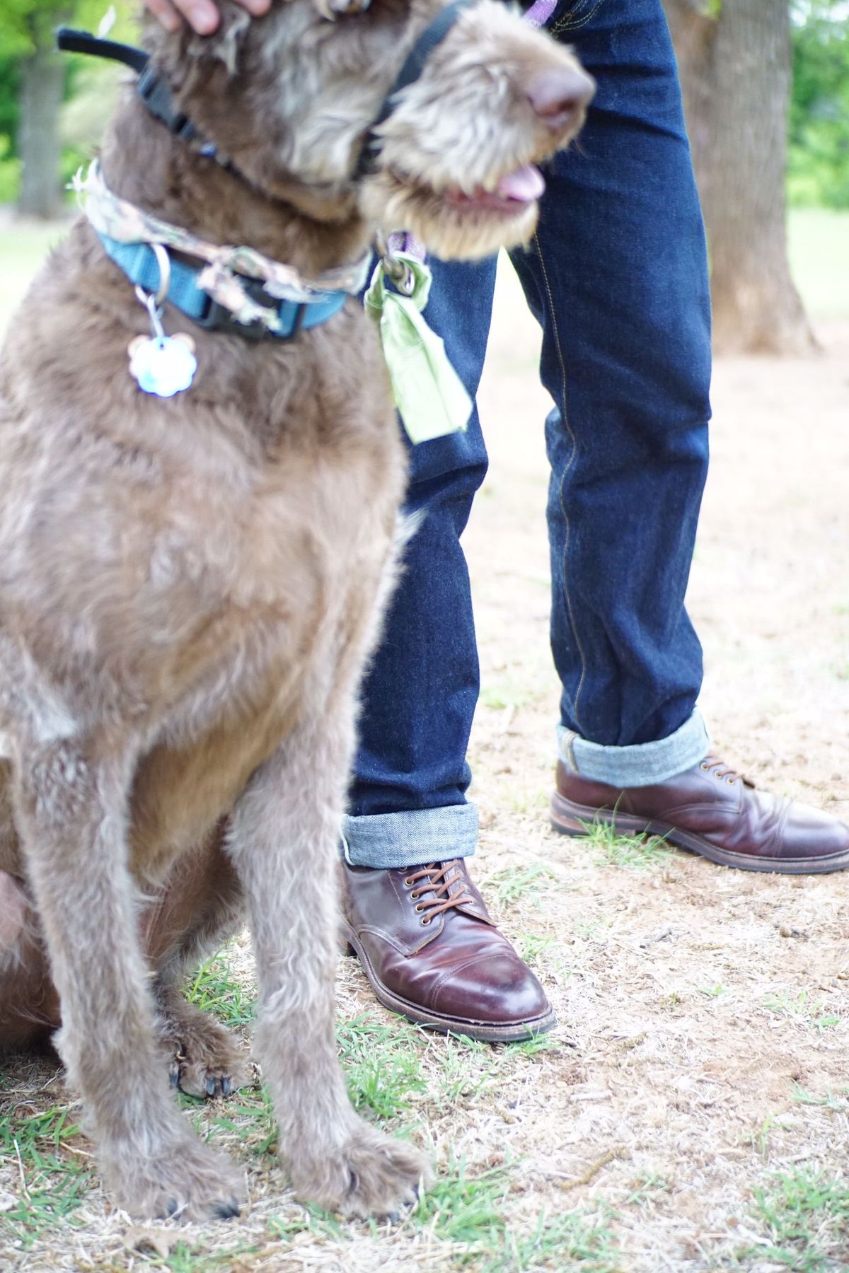 Photo by patinathunderdome on May 5, 2022 of the Meermin Derby Boot in Horween Color 8 Shell Cordovan.