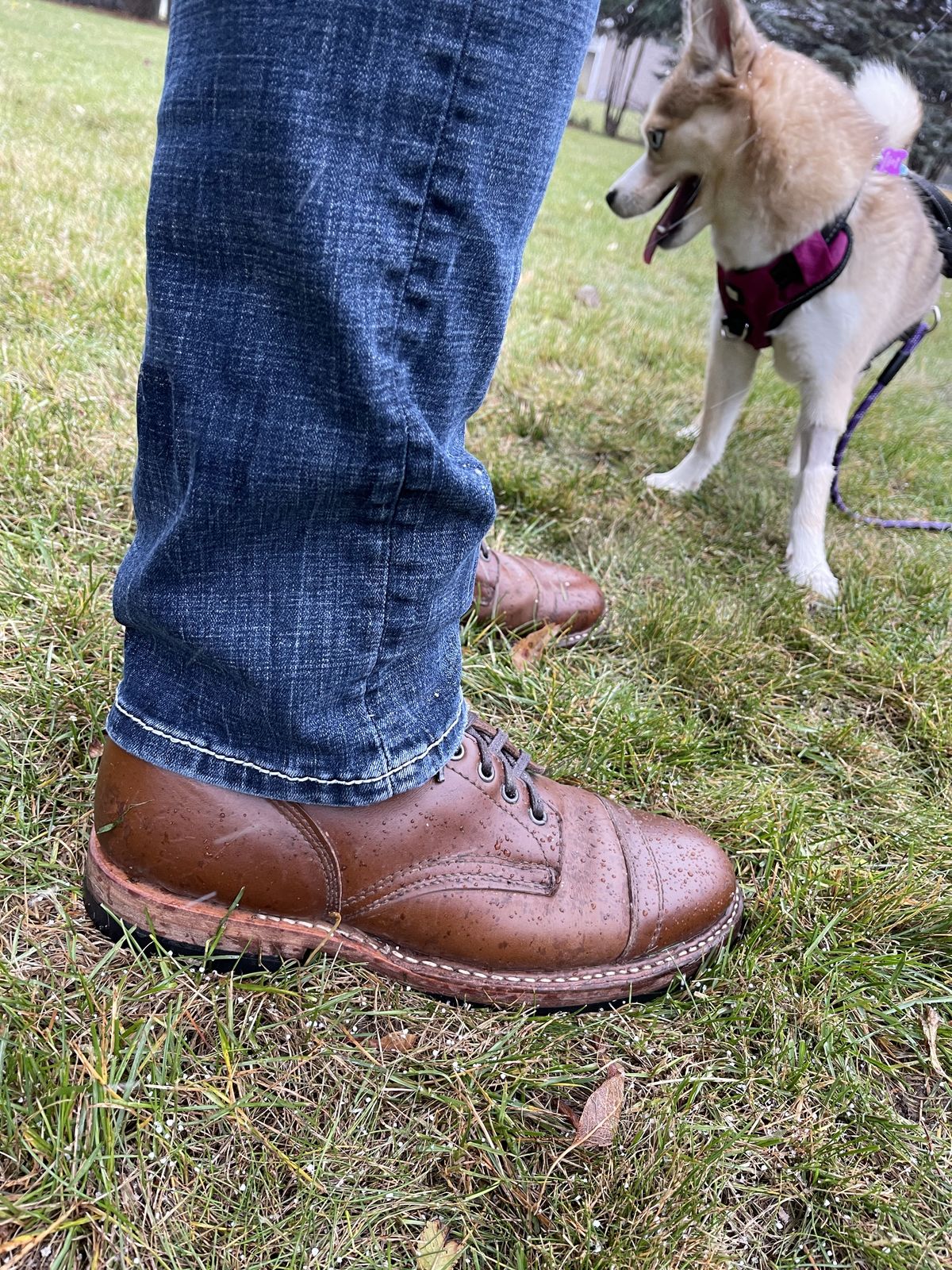 Photo by patinathunderdome on December 5, 2021 of the White's MP-M1TC in Horween British Tan Chromexcel.