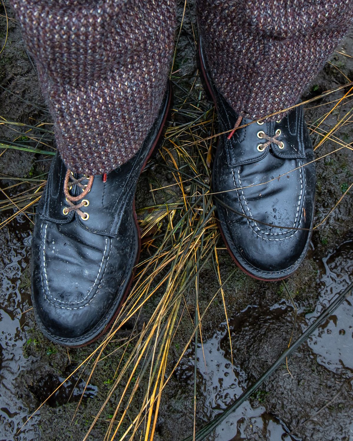 Photo by patinathunderdome on January 2, 2022 of the Alden Indy Boot in Horween Black Shell Cordovan.