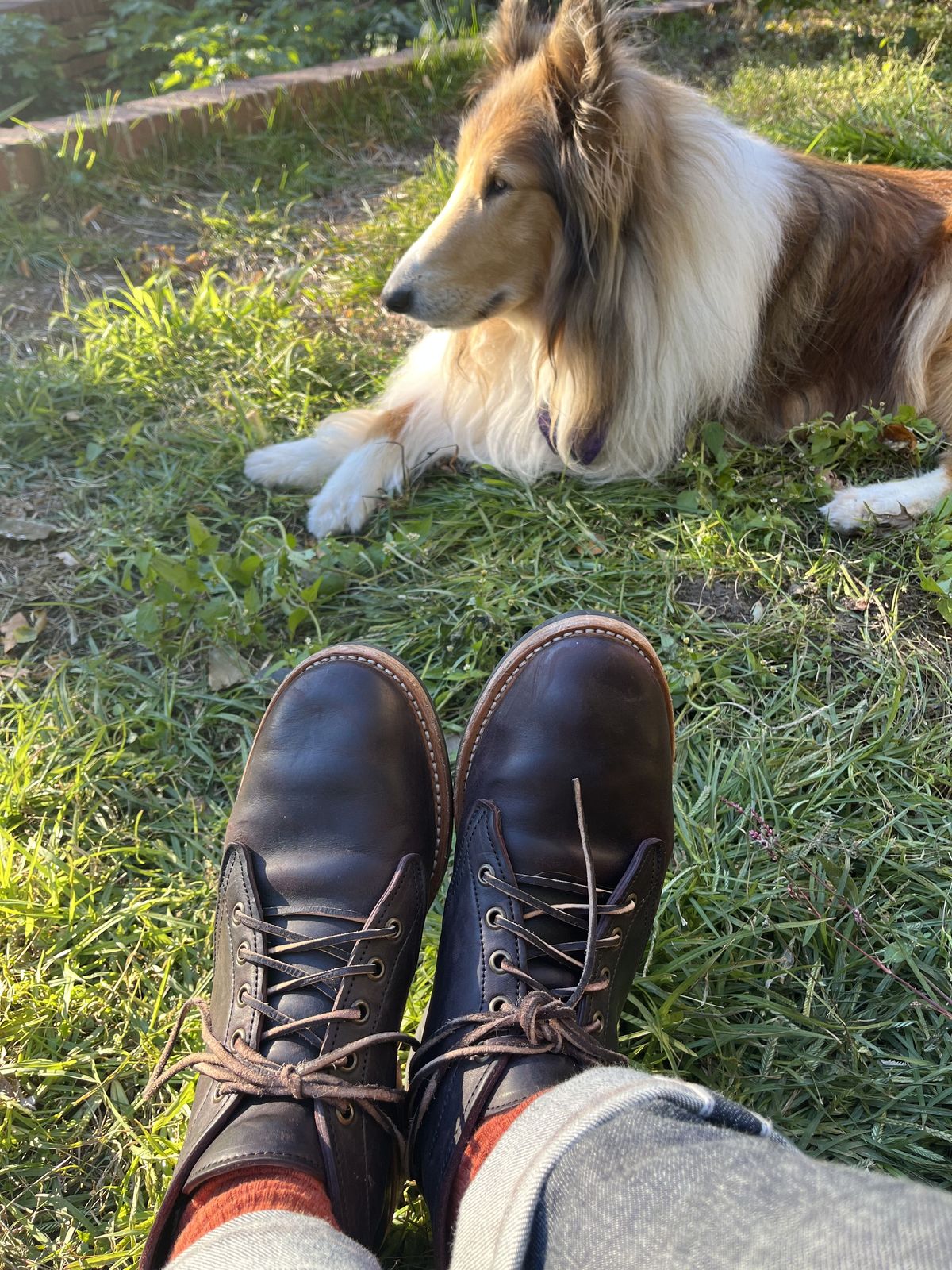 Photo by patinathunderdome on November 6, 2021 of the Truman Chukka in Guidi Aubergine Horse Rump.