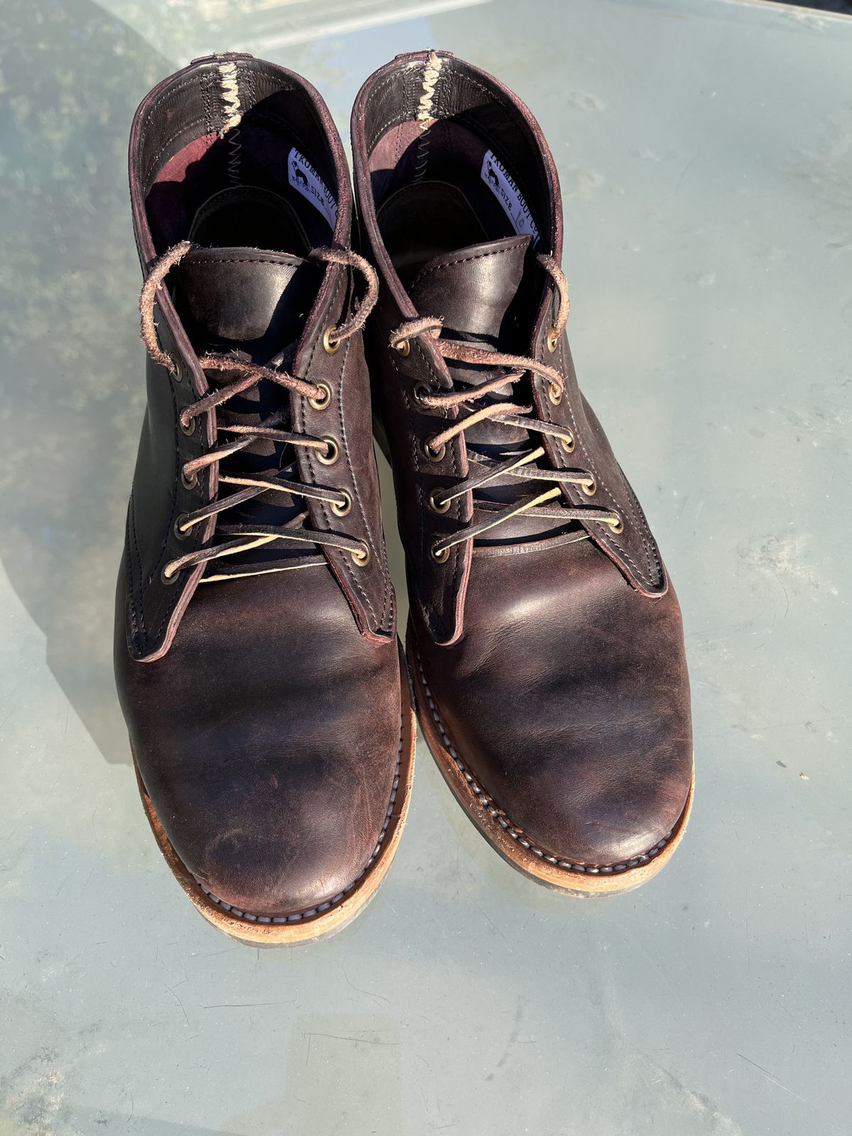Photo by patinathunderdome on November 6, 2021 of the Truman Chukka in Guidi Aubergine Horse Rump.