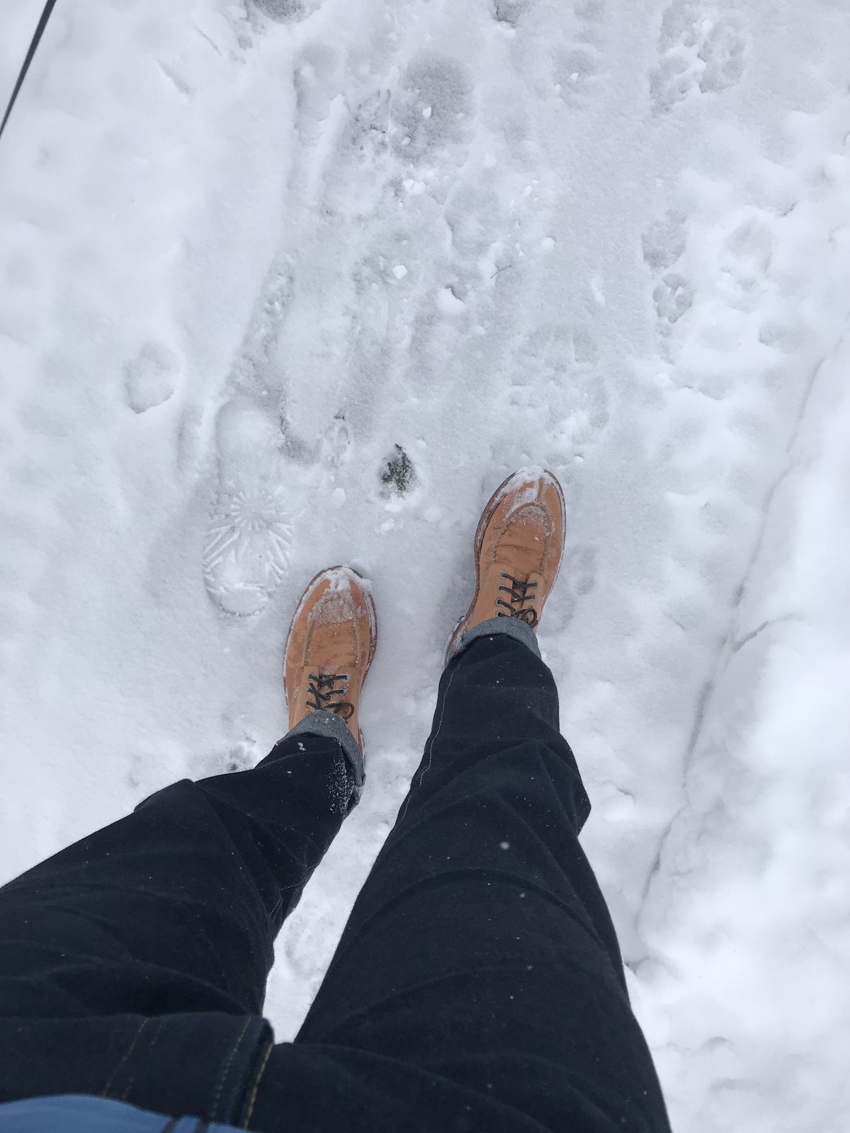 Photo by patinathunderdome on February 2, 2022 of the Grant Stone Ottawa Boot in Incas Natural Kangaroo.