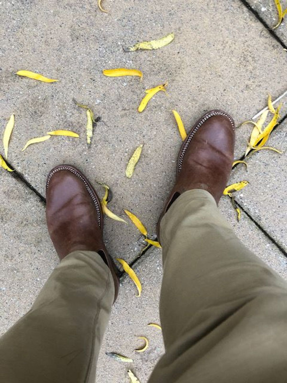 Photo by patinathunderdome on December 5, 2021 of the Benzein The Seventh Chelsea Boot in Maryam Toscanello Horsebutt.
