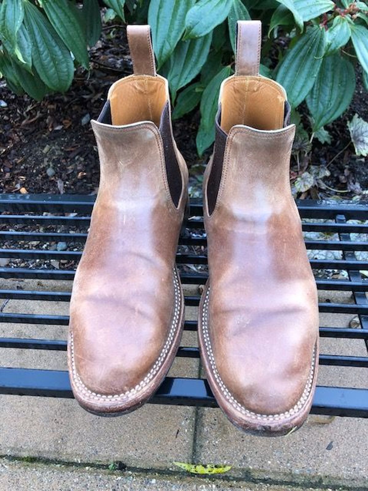 Photo by patinathunderdome on January 4, 2022 of the Benzein The Seventh Chelsea Boot in Maryam Toscanello Horsebutt.