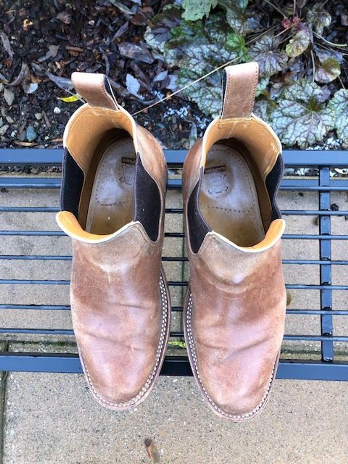 Photo by patinathunderdome on January 4, 2022 of the Benzein The Seventh Chelsea Boot in Maryam Toscanello Horsebutt.