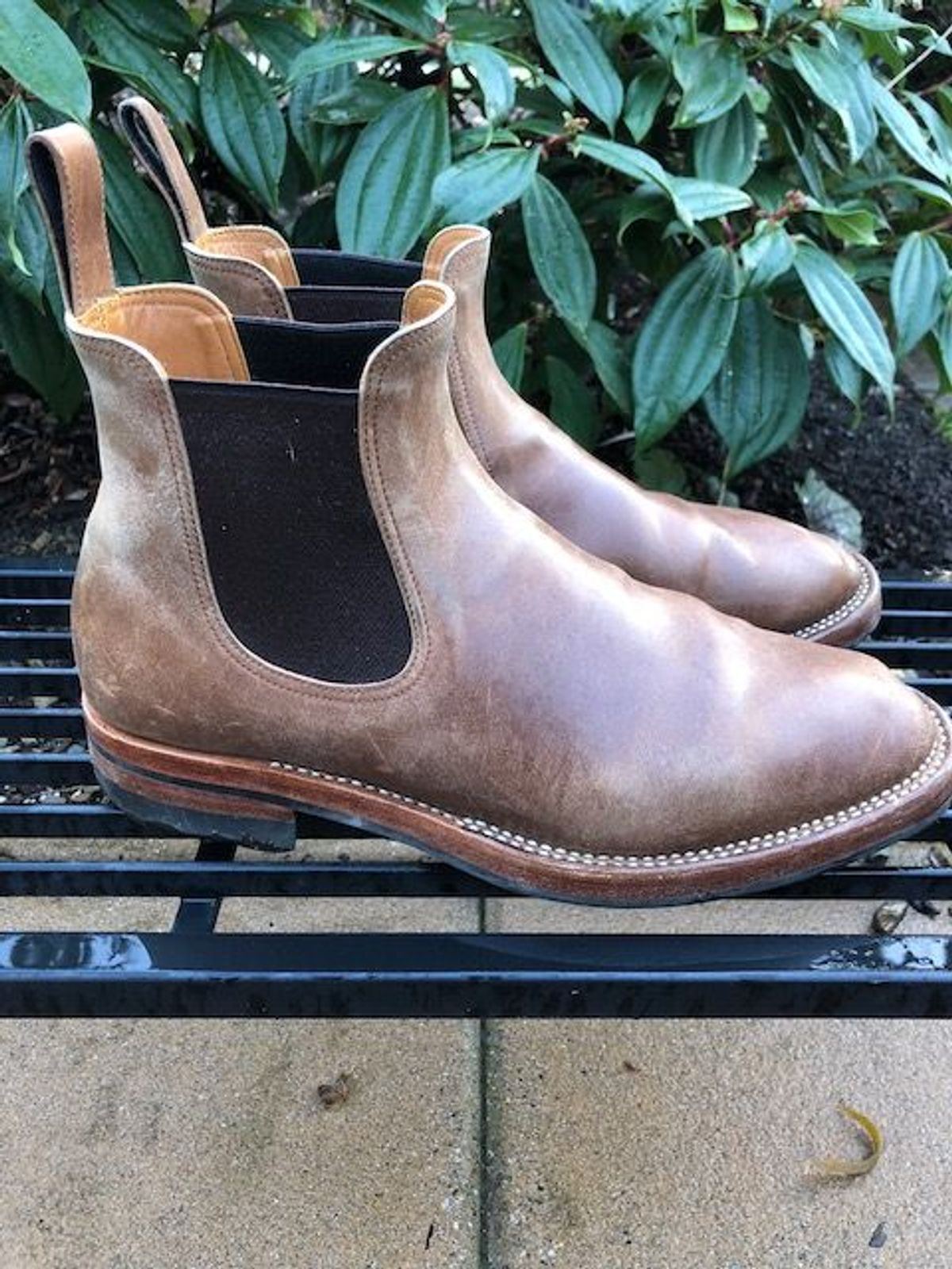 Photo by patinathunderdome on January 4, 2022 of the Benzein The Seventh Chelsea Boot in Maryam Toscanello Horsebutt.
