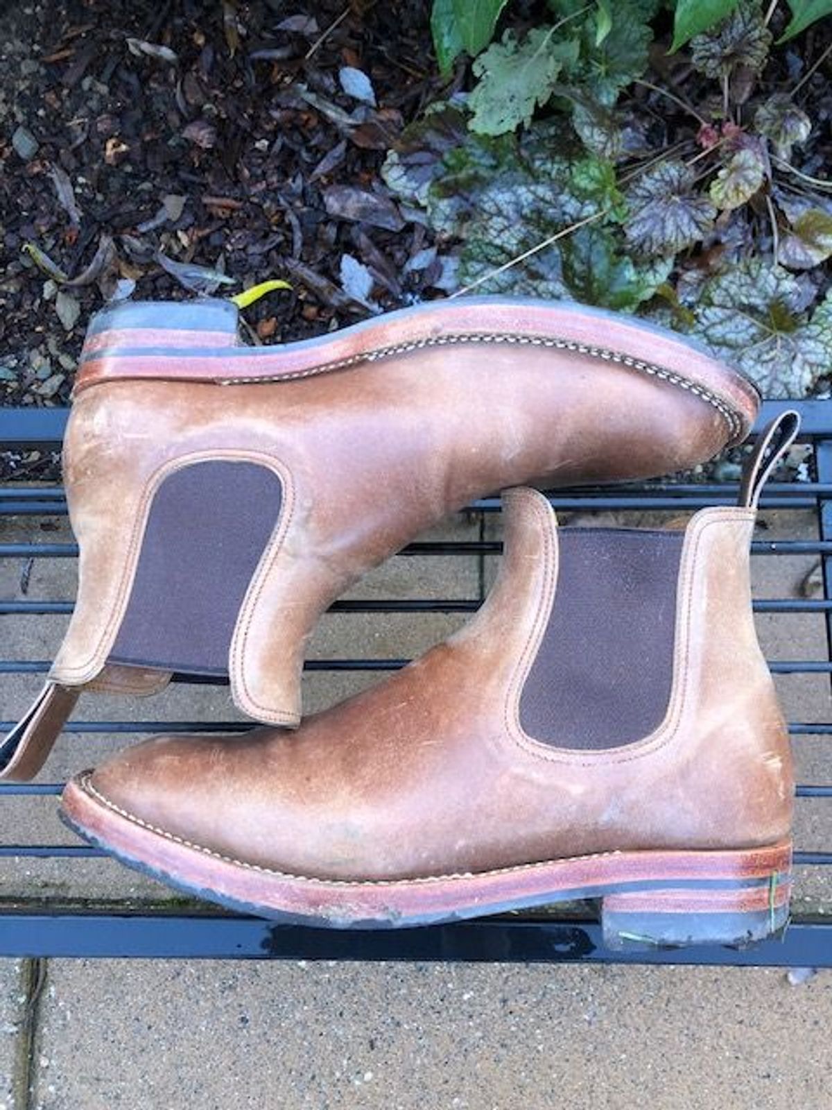 Photo by patinathunderdome on January 4, 2022 of the Benzein The Seventh Chelsea Boot in Maryam Toscanello Horsebutt.