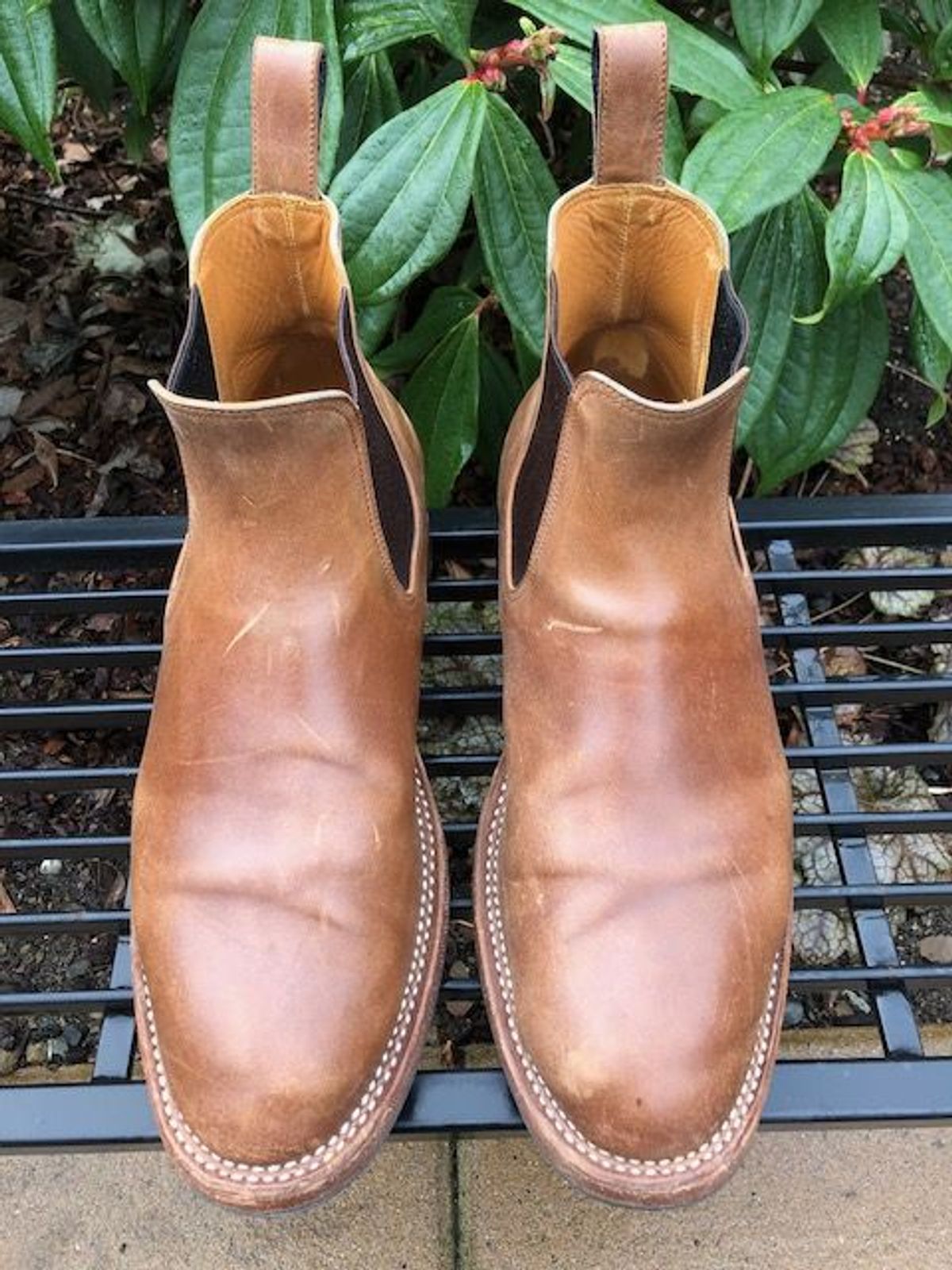 Photo by patinathunderdome on February 5, 2022 of the Benzein The Seventh Chelsea Boot in Maryam Toscanello Horsebutt.