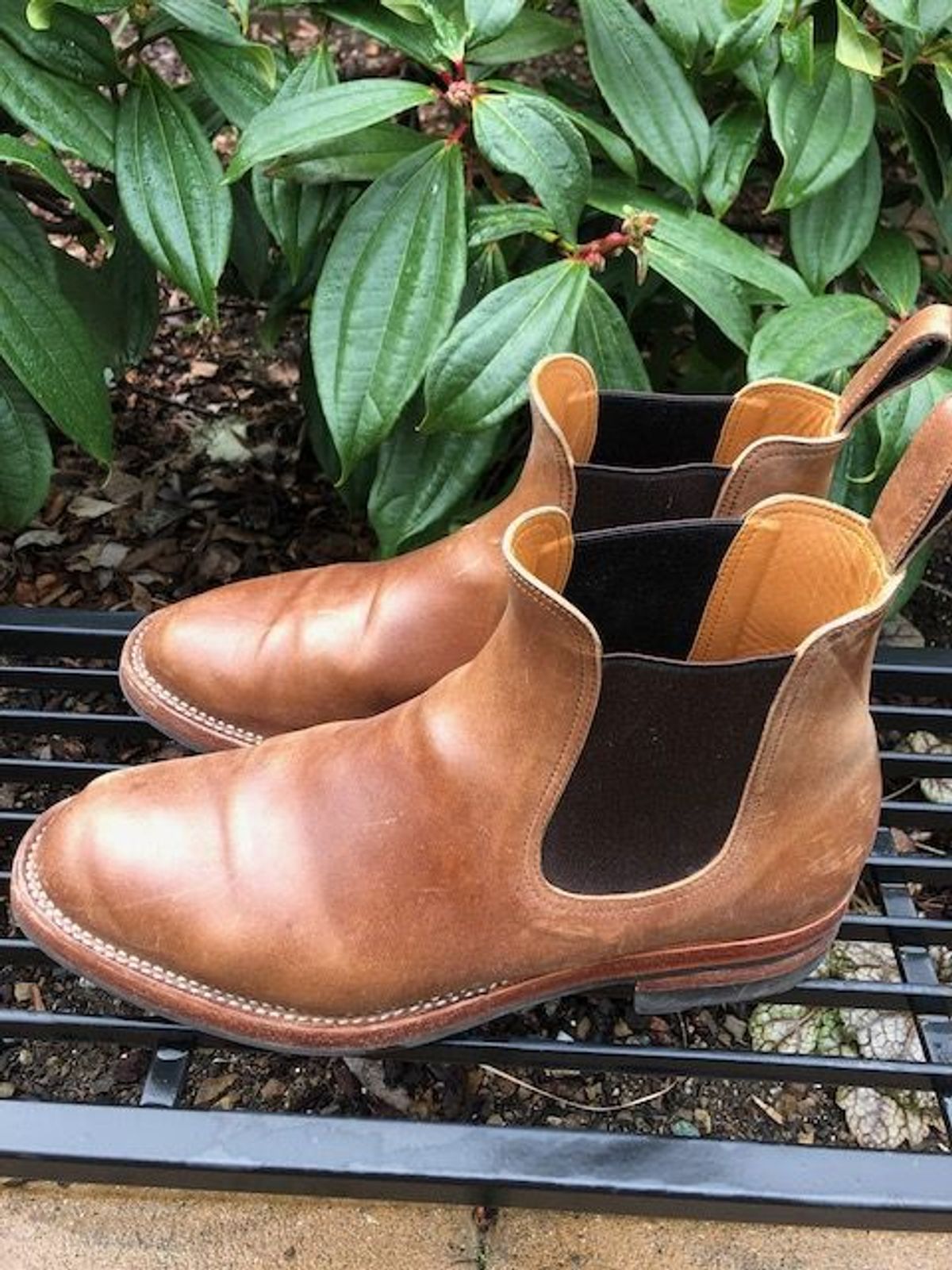 Photo by patinathunderdome on February 5, 2022 of the Benzein The Seventh Chelsea Boot in Maryam Toscanello Horsebutt.