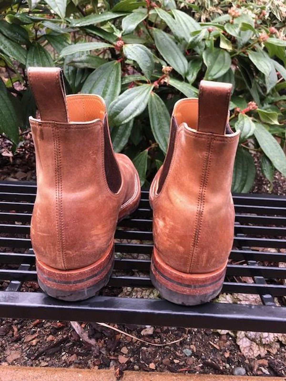 Photo by patinathunderdome on February 5, 2022 of the Benzein The Seventh Chelsea Boot in Maryam Toscanello Horsebutt.
